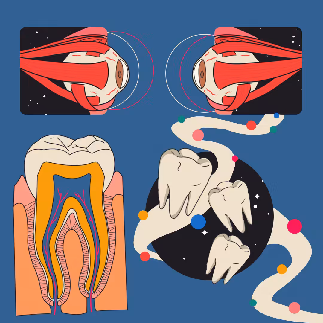 teeth and eye
