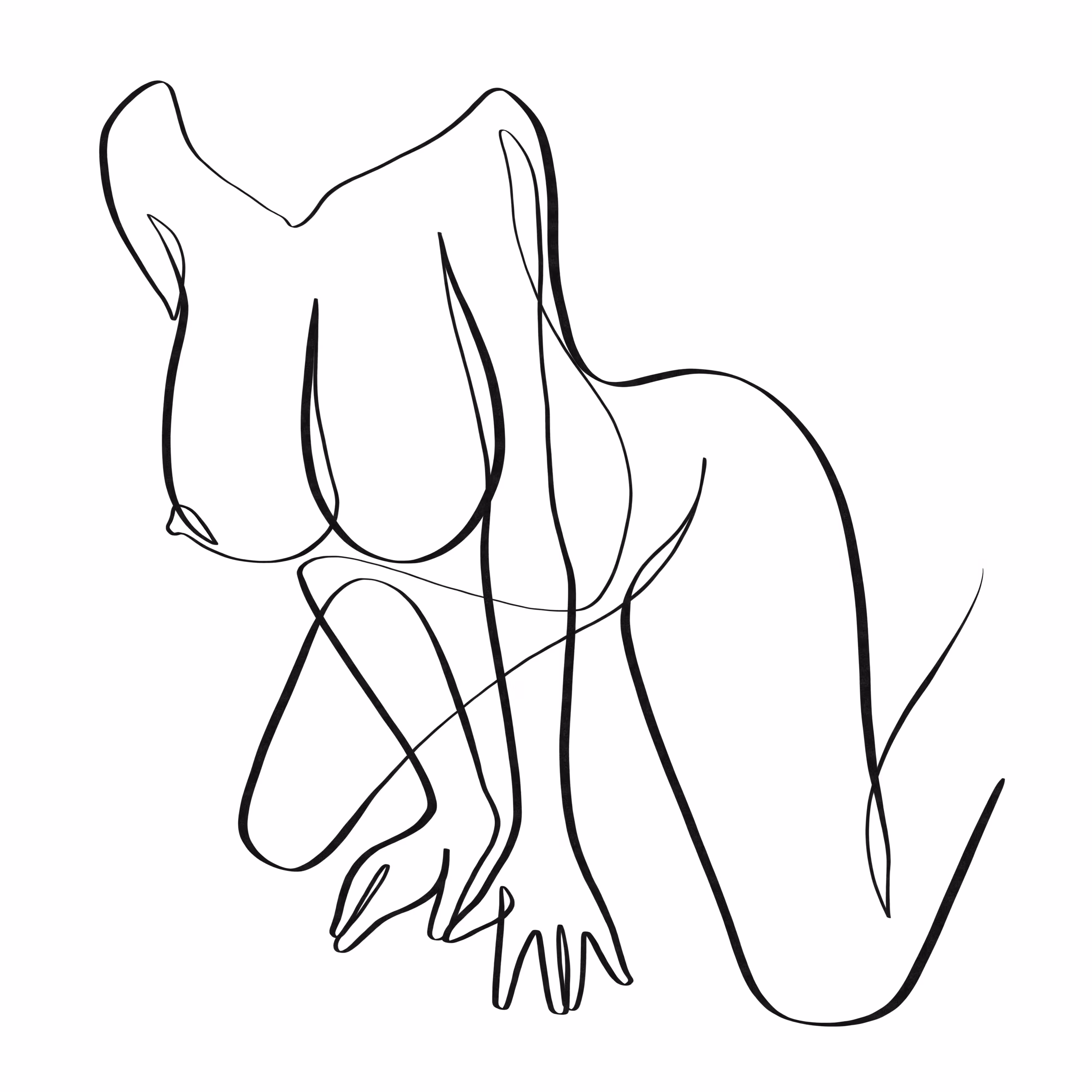Erotic Originals: Penguin sex position one line art #23