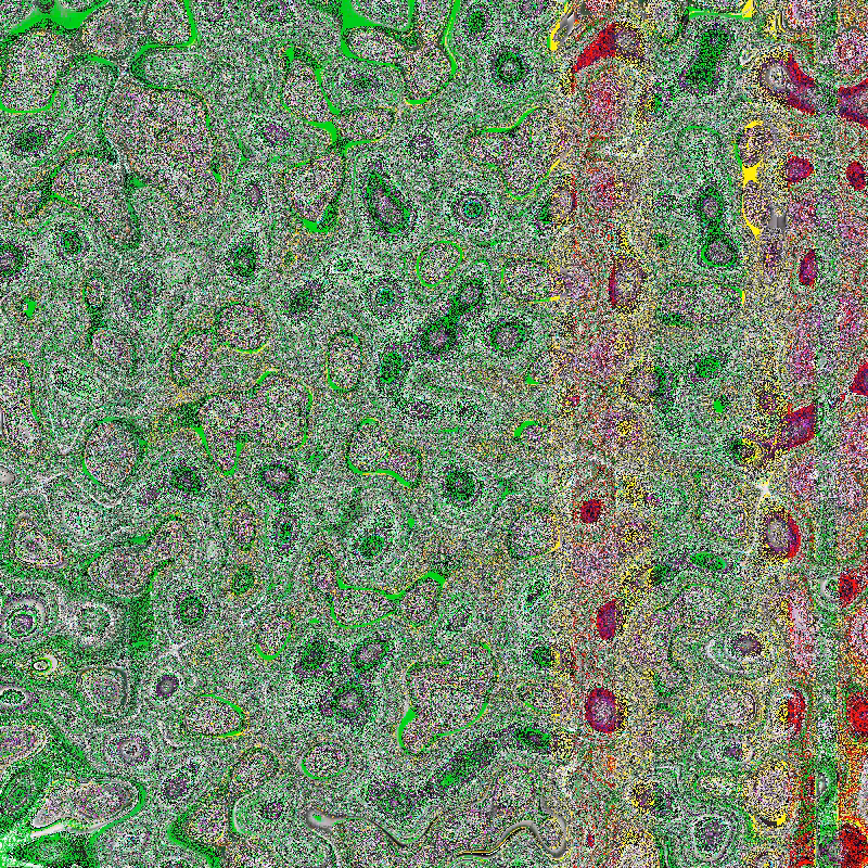 Bacteria Scanner #12