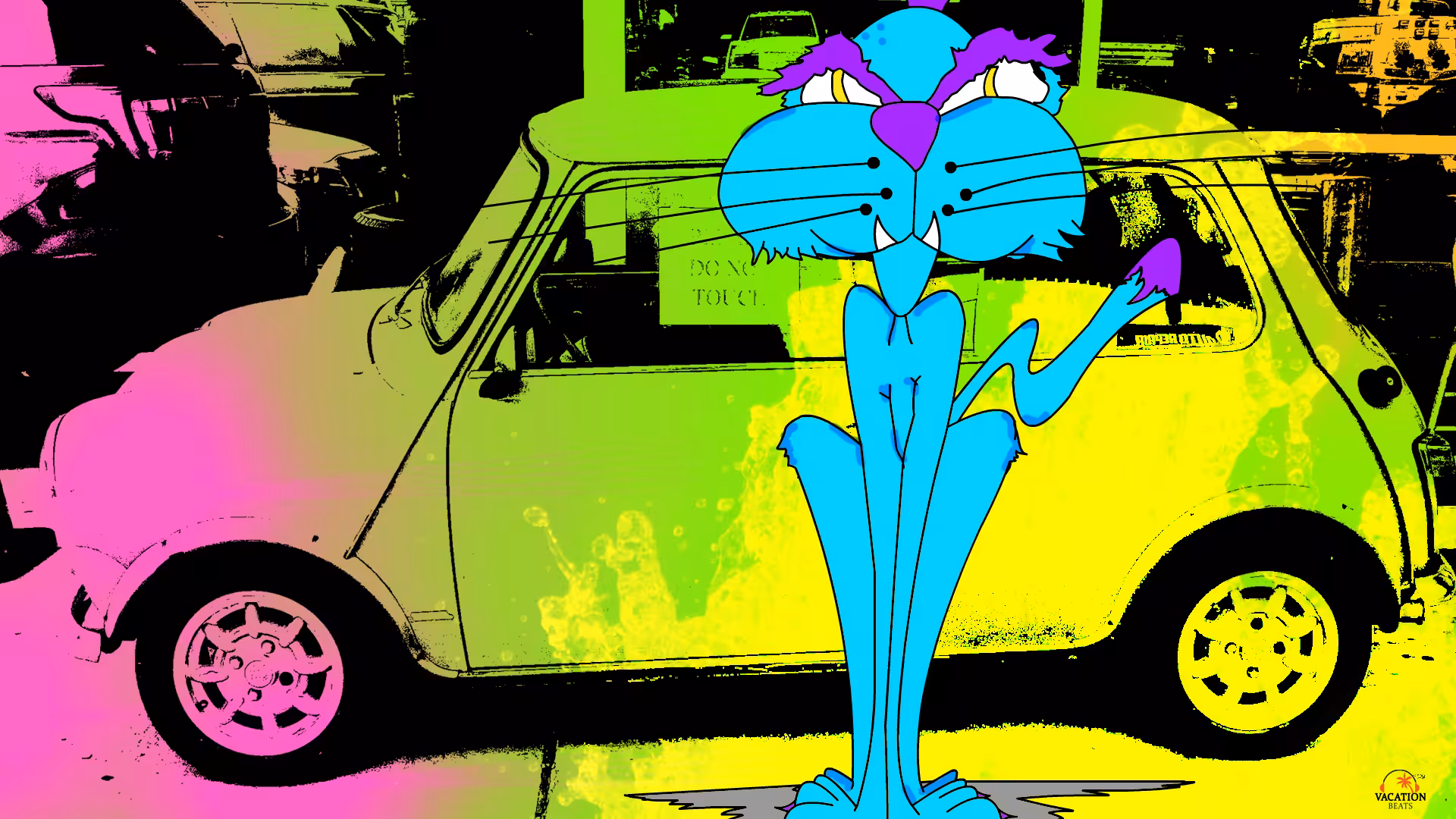 Mi Cat in the Shop!  
