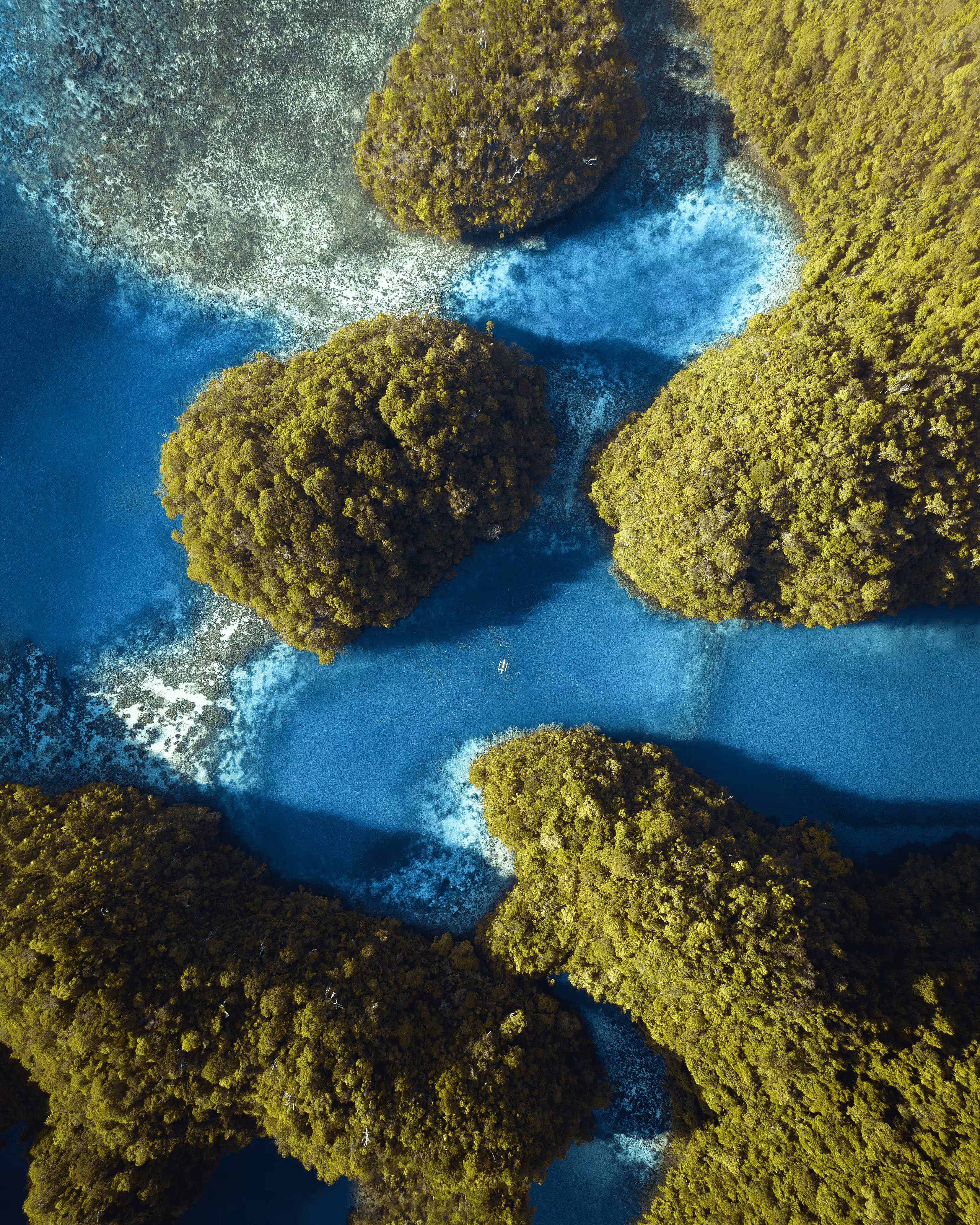 #15: Lagoon Haven