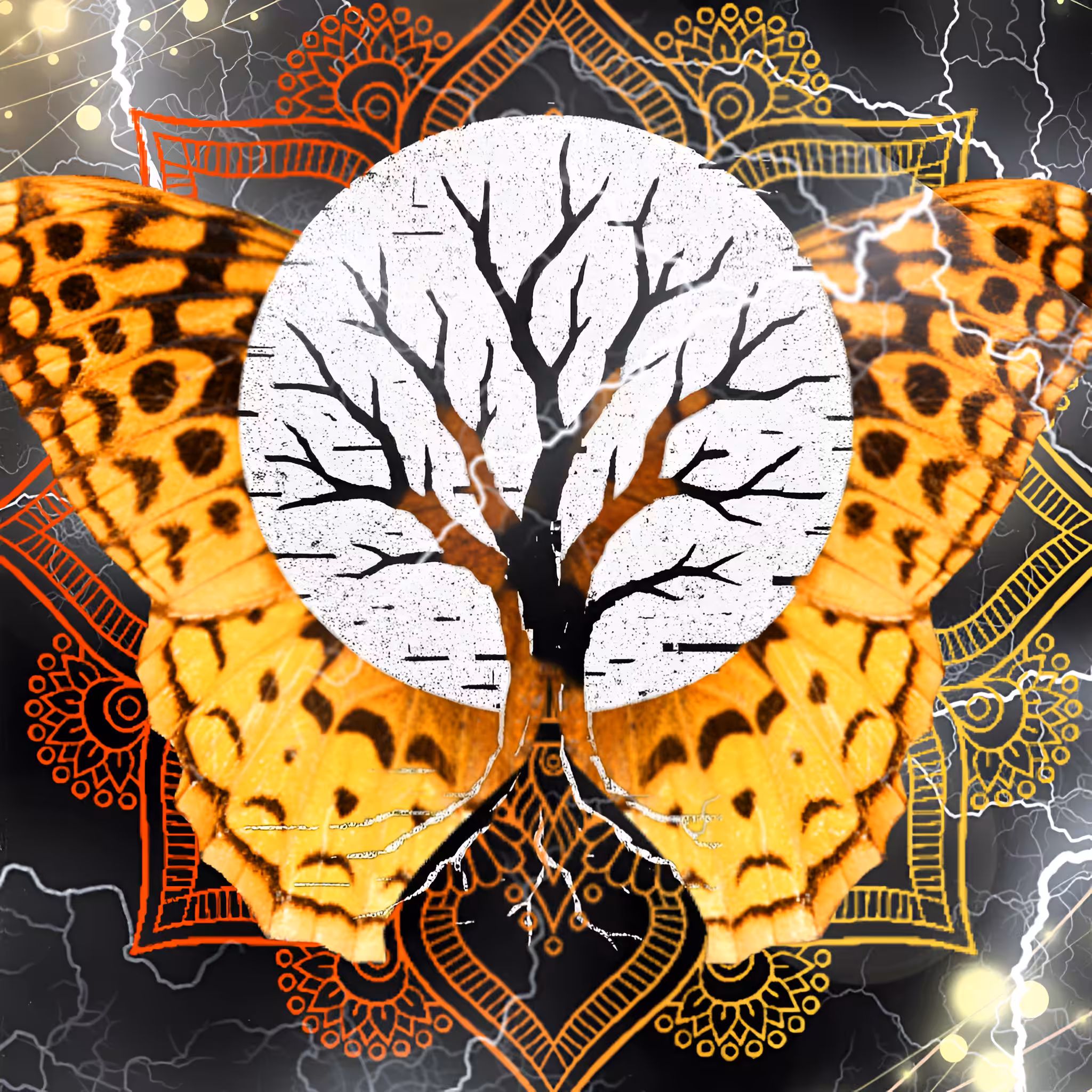 Evolve 
