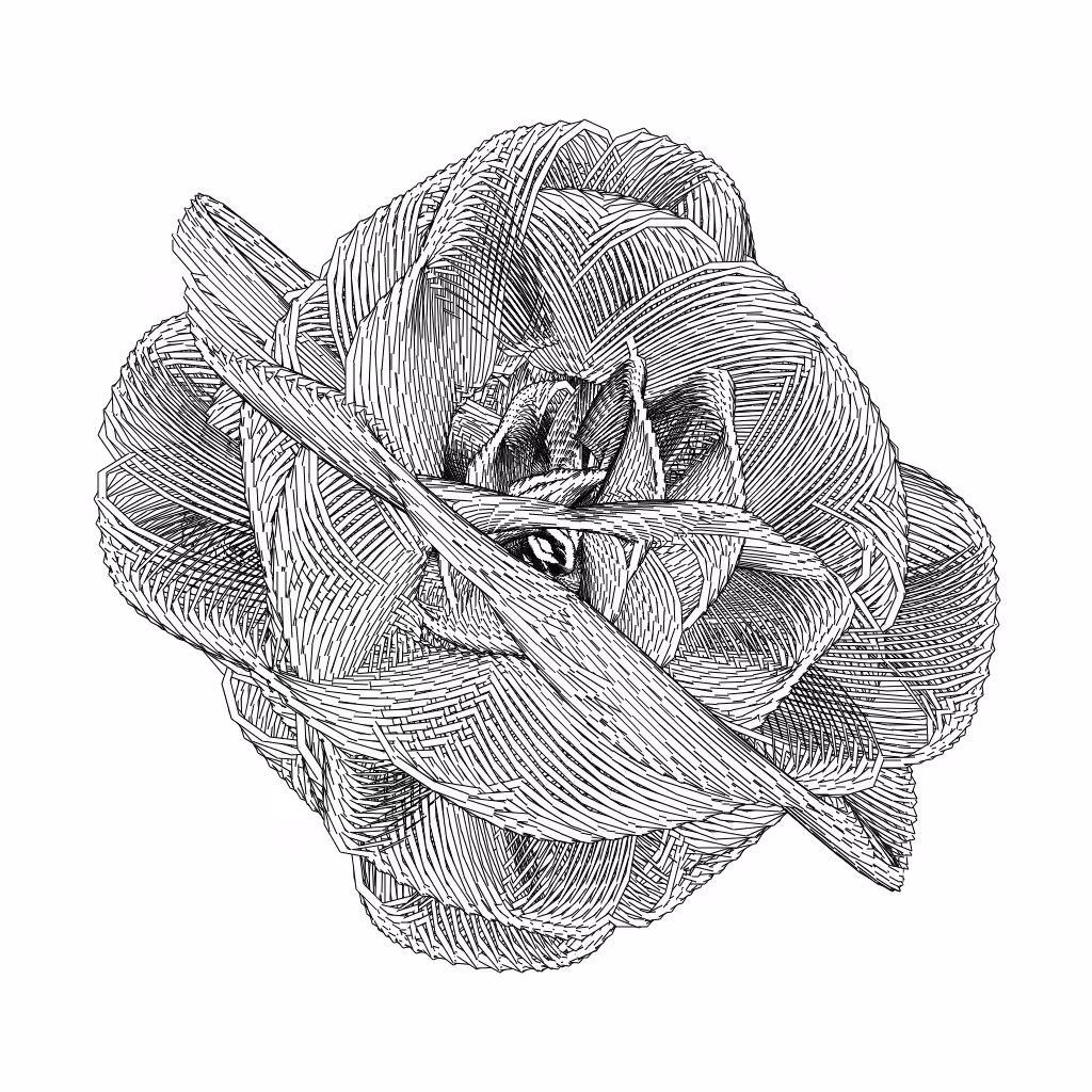 LL21 Entangled (3) #634