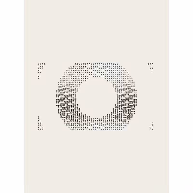 Idle/Interludes #507