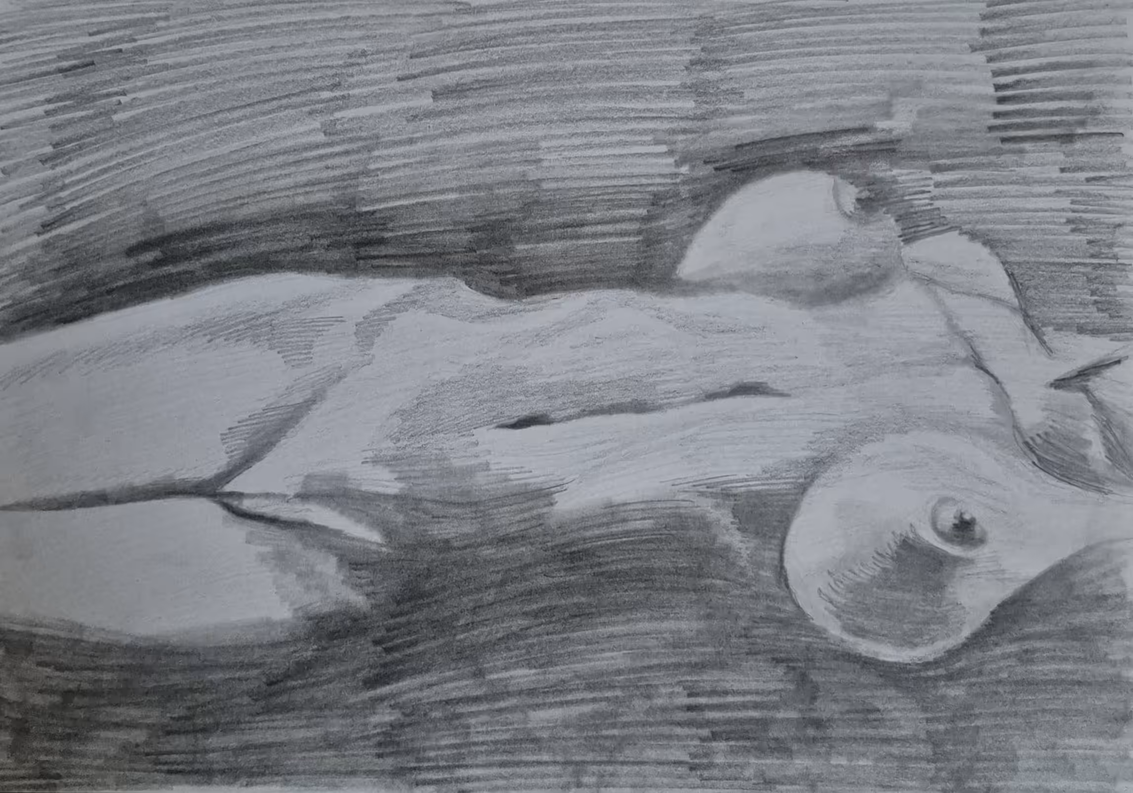 The female body