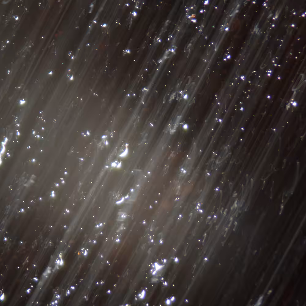 tencu_abstract_1114
