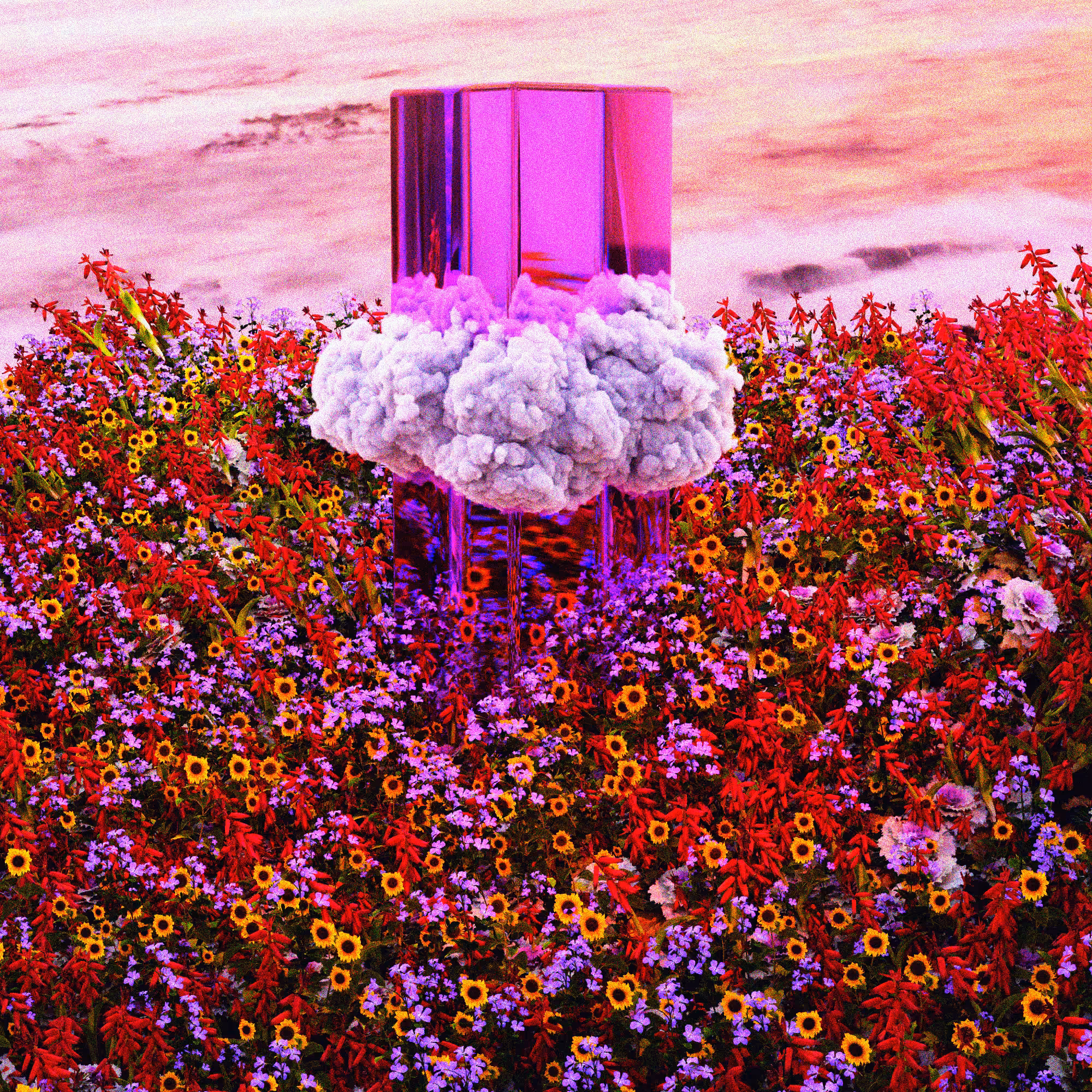 FIELD OF FLOWERS