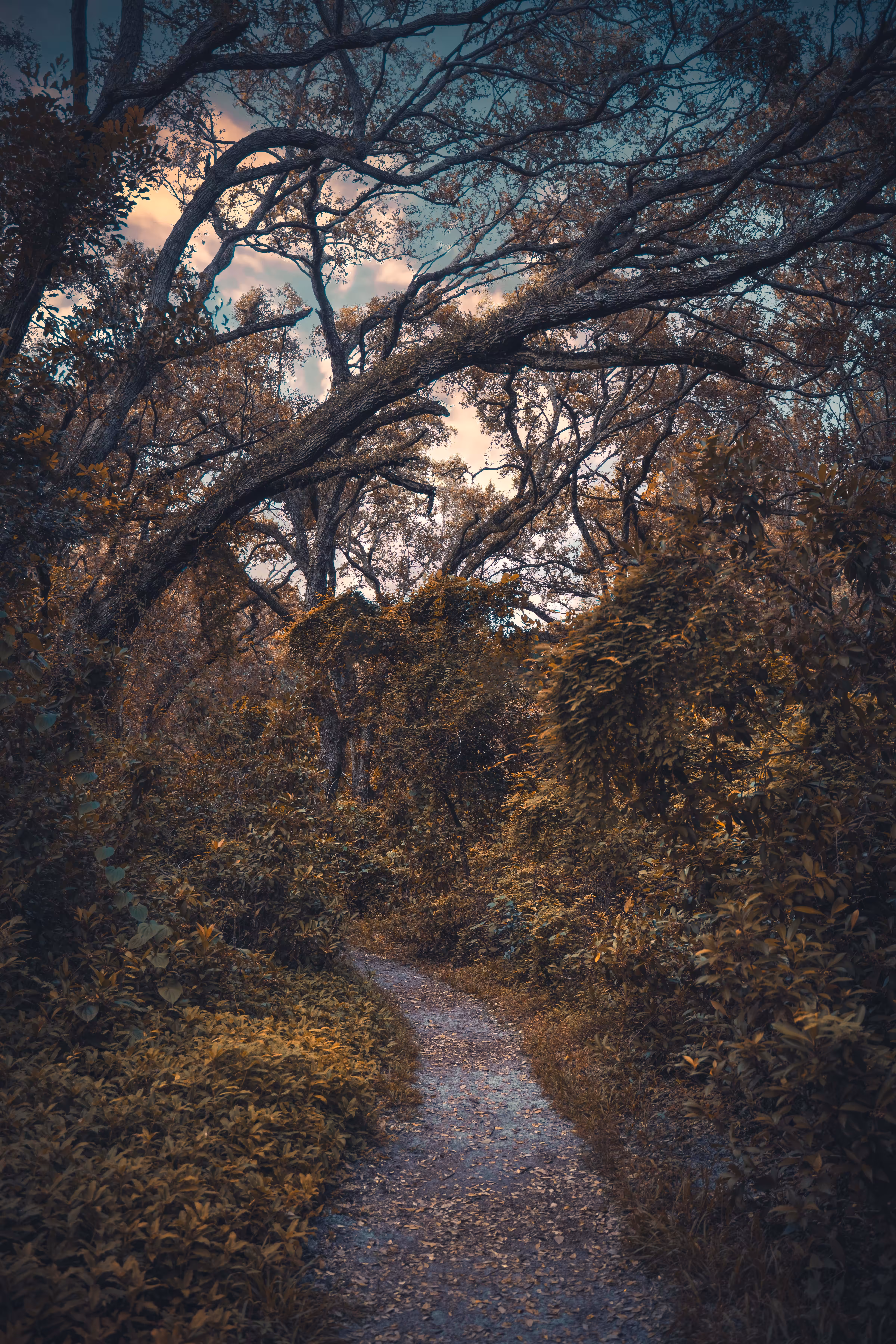 Fall