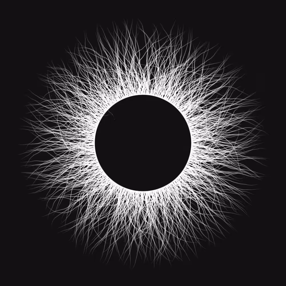 Wormhole #7
