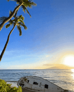 Lahaina Love