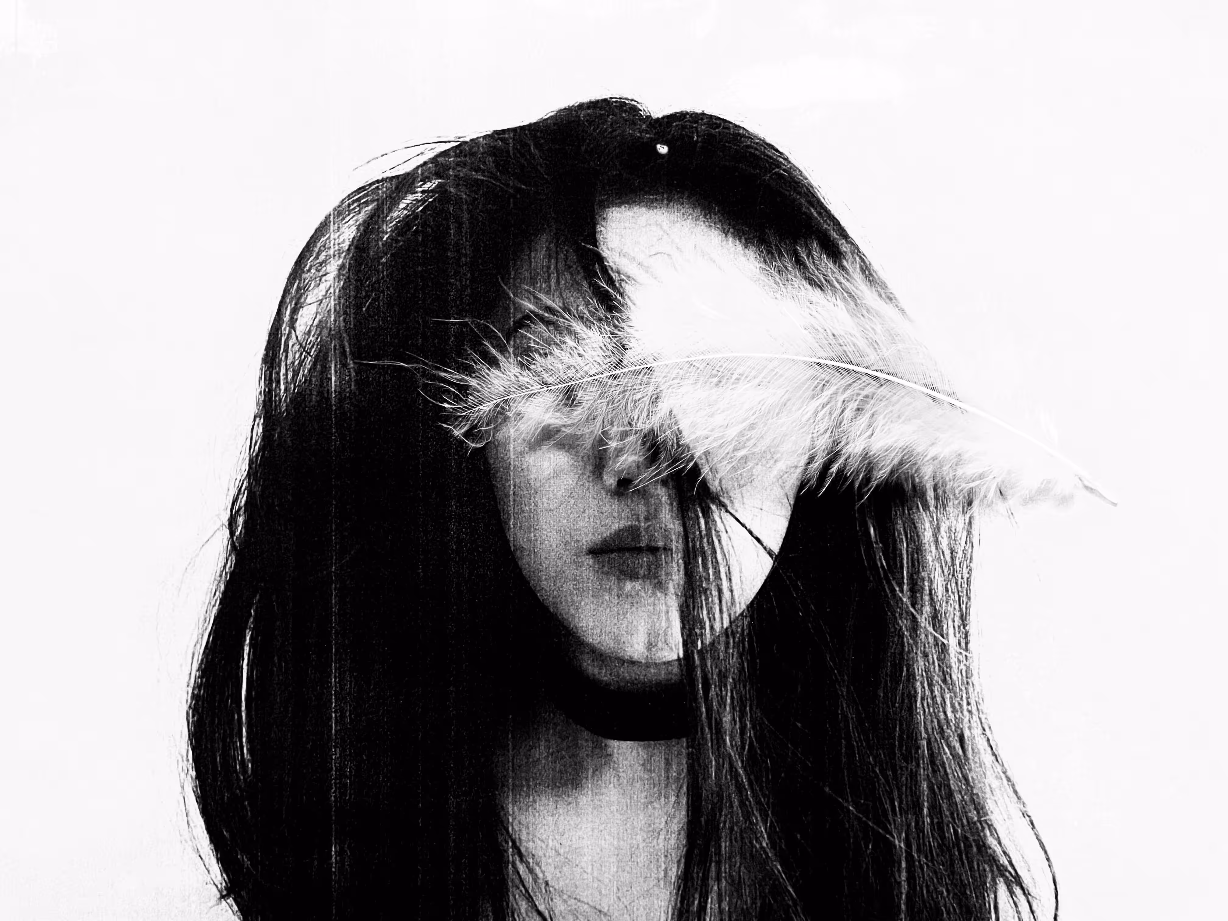 NF OPEN EDITION: feather / disaster
