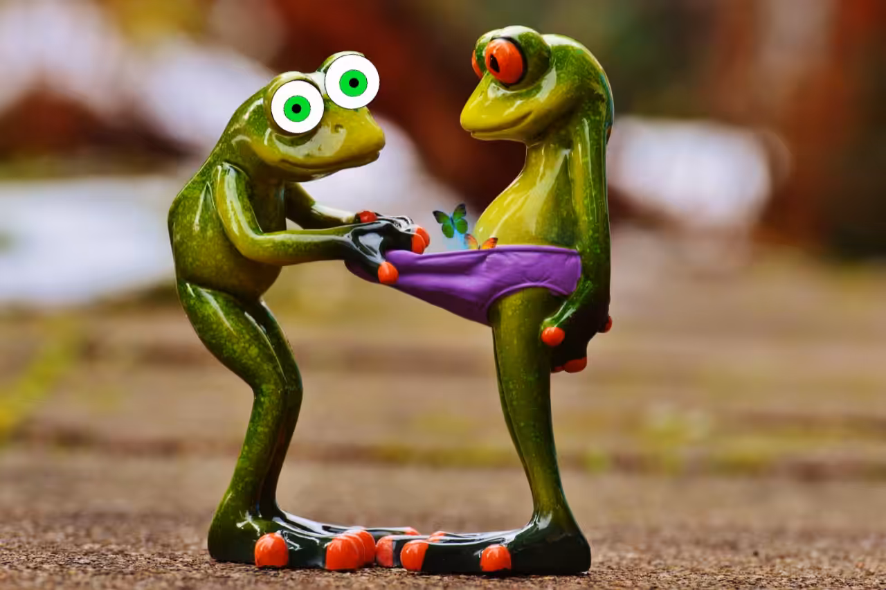 Frog in Love (Pepe's family)