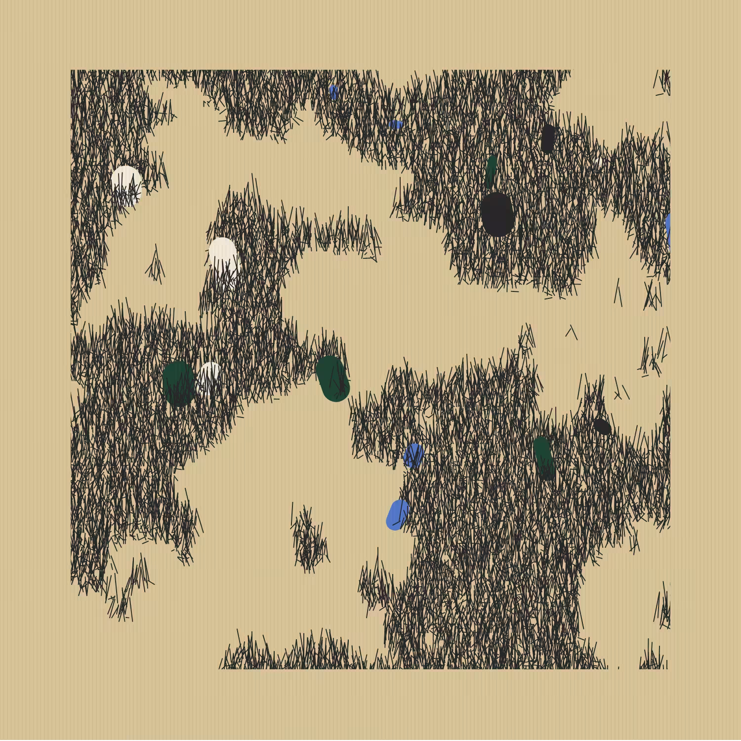 Field #97
