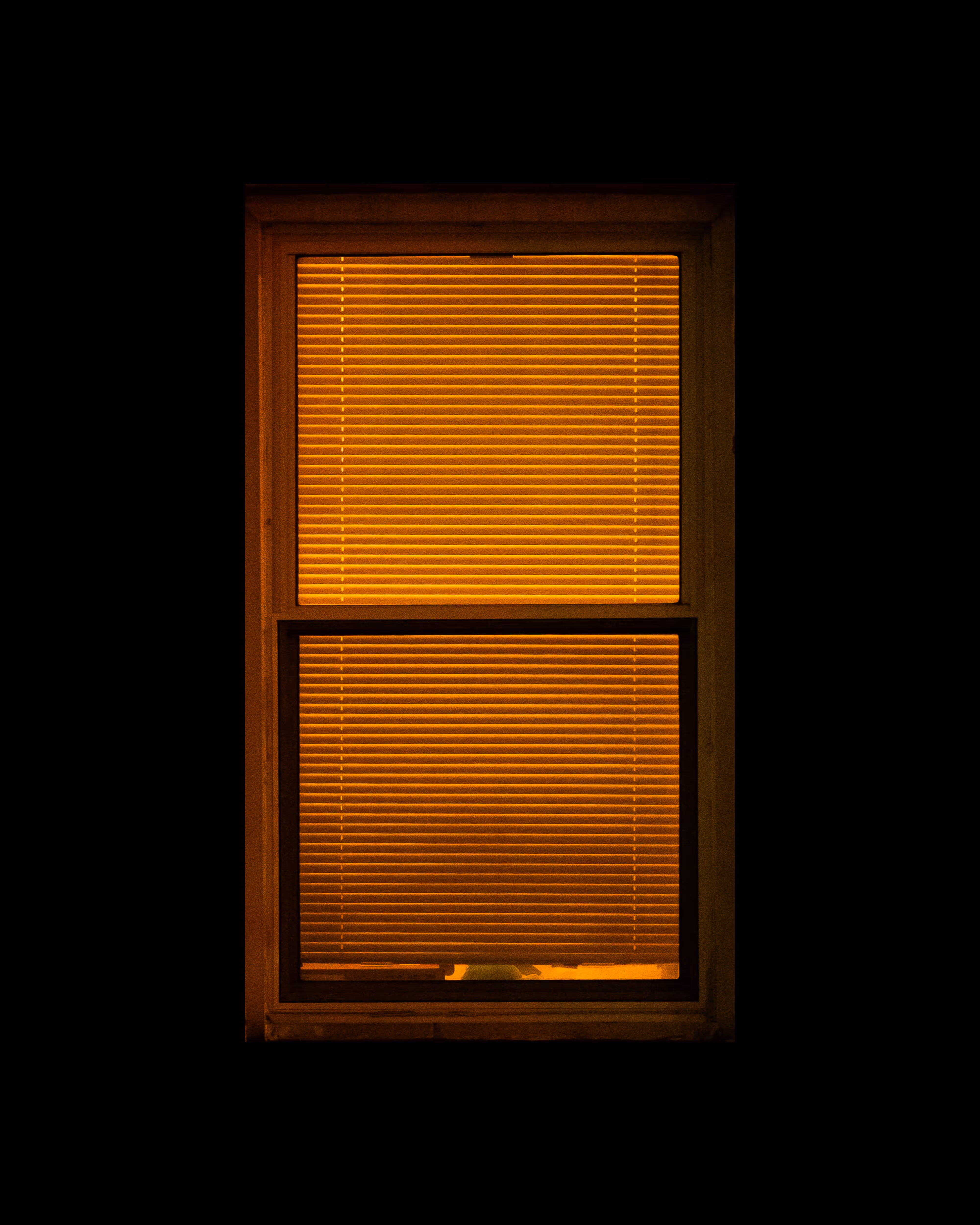 WINDOWS // NYC: WINDOW 480