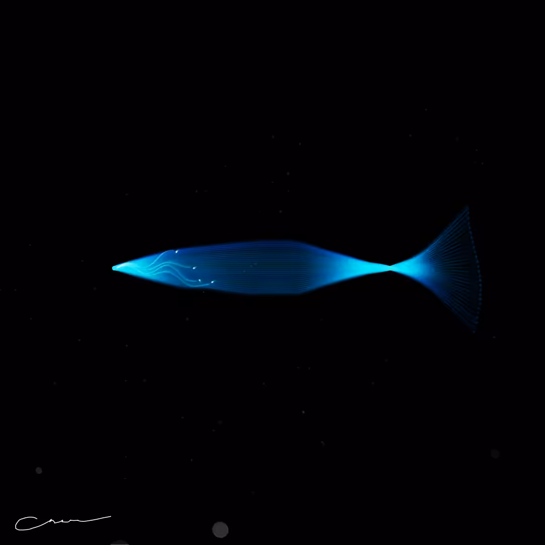 SoulFish #119