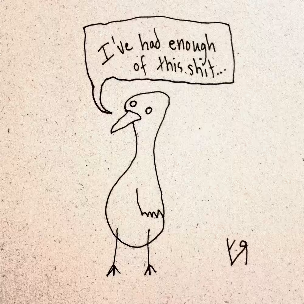 Grumpy Gull (Raw)