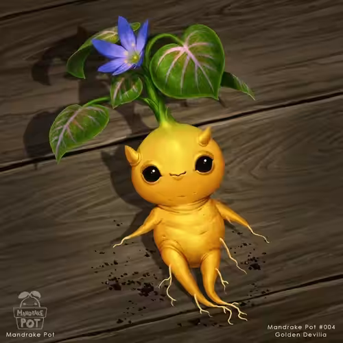 Mandrake Pot