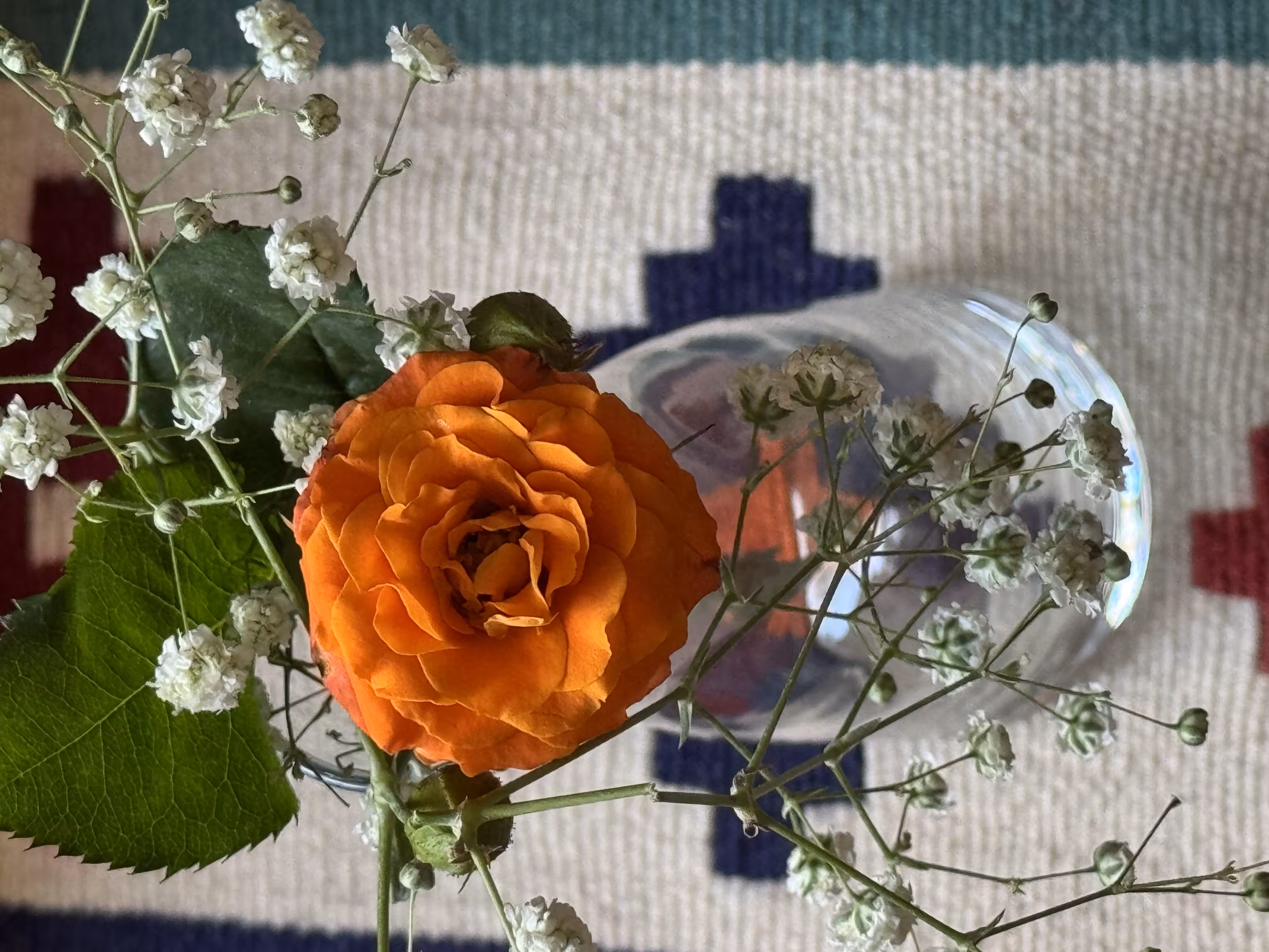 Blooming Among the Patterns