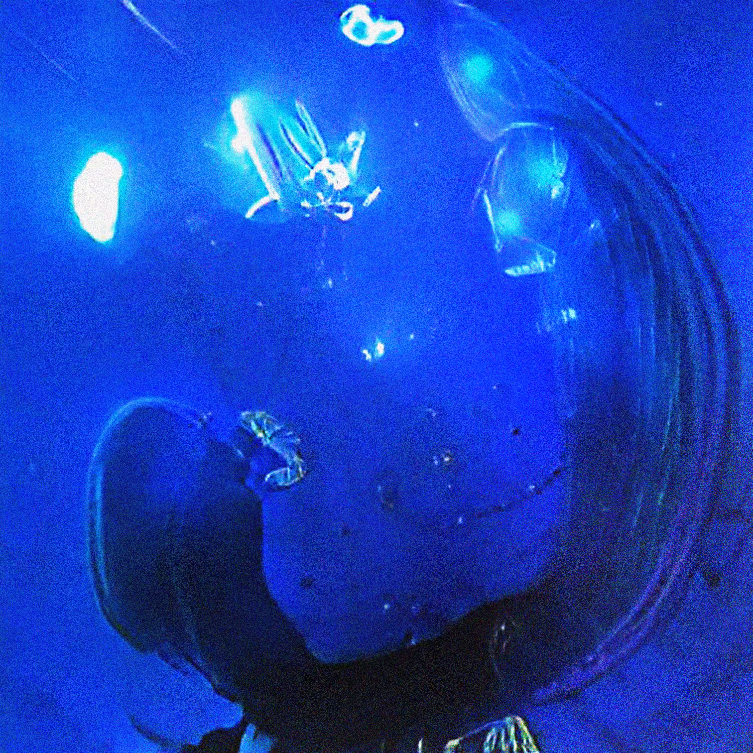 In Deep Water #1
