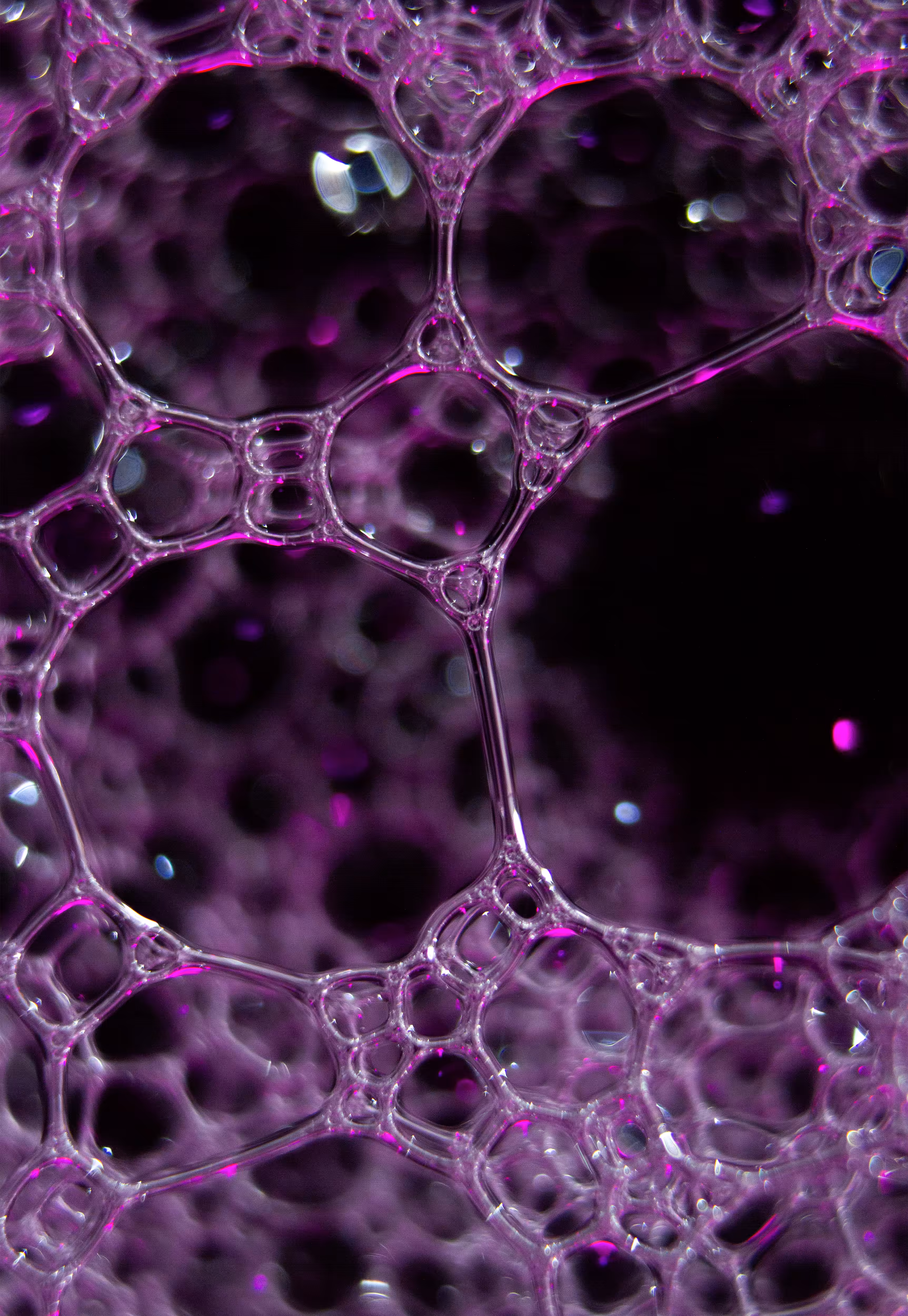 Abstract World of Soap Bubbles: #164 Bubbles