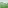 Tiny Valley #7