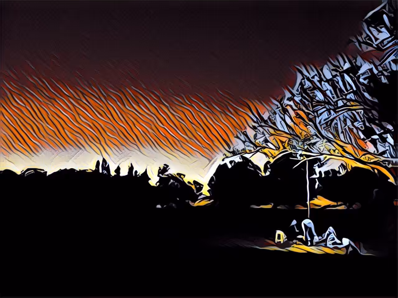 The night