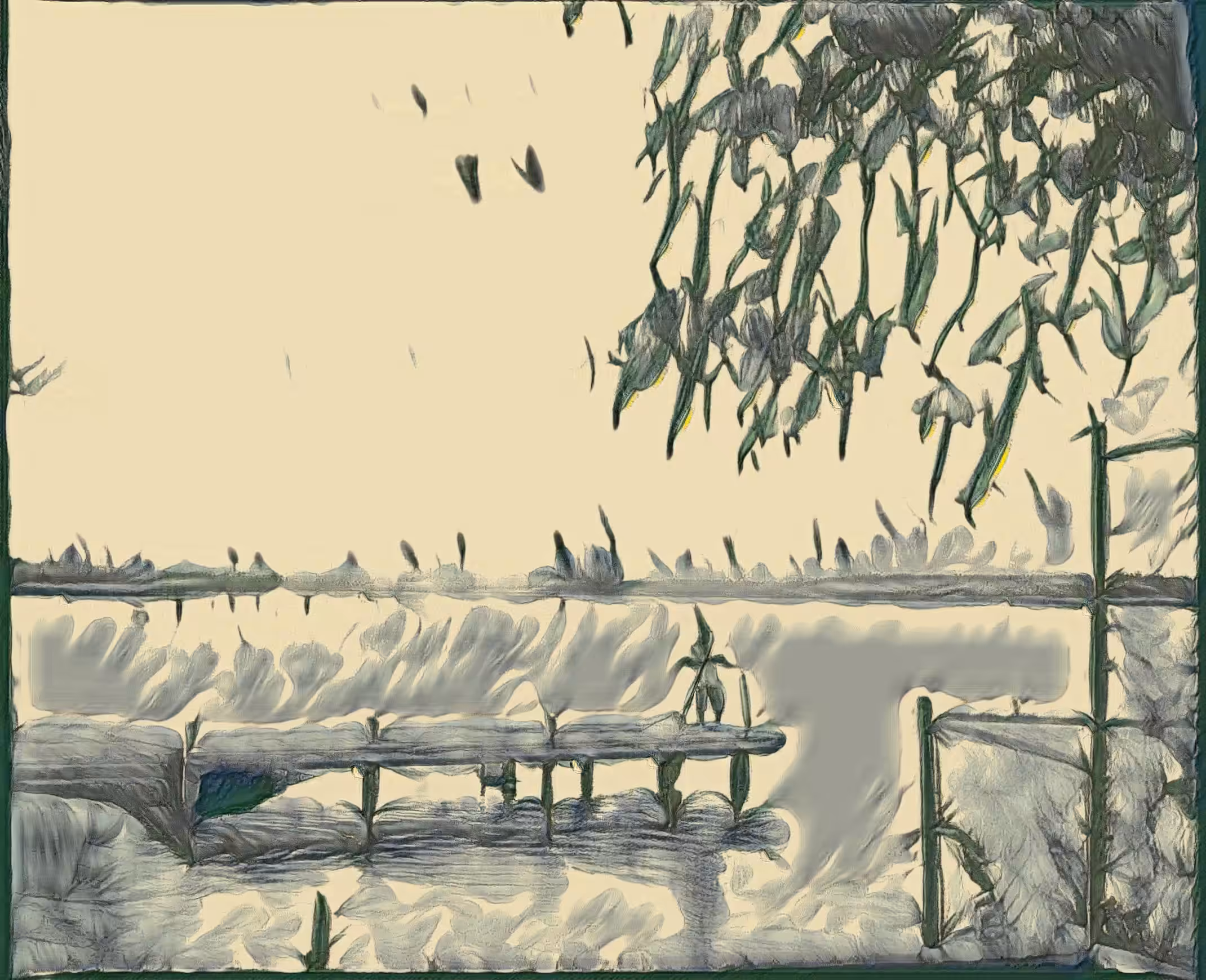 THE FISHERMAN