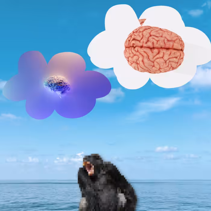 Anxious monkeys #16