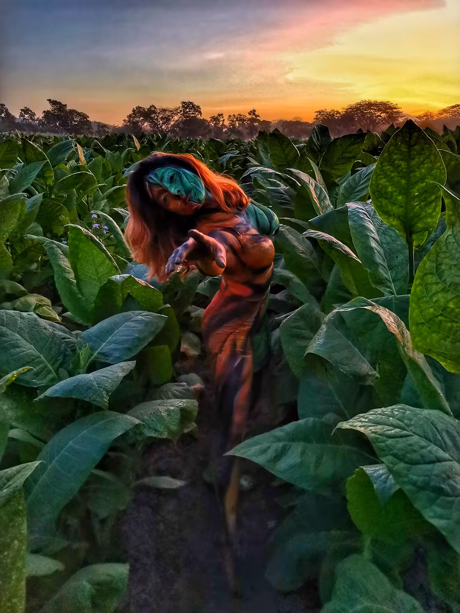 Dancing in Danli's Tobacco Fields