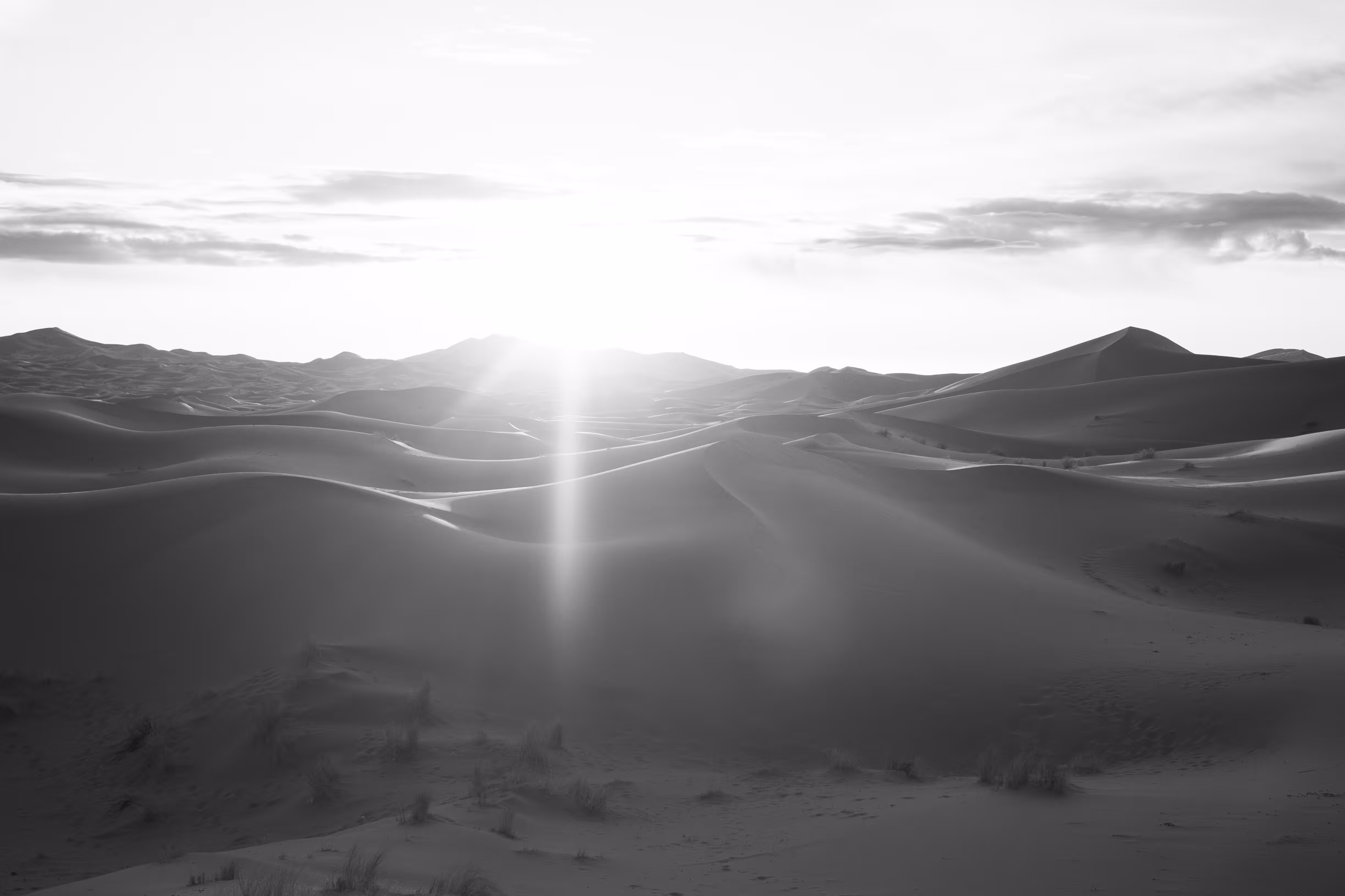 Eastern Sun