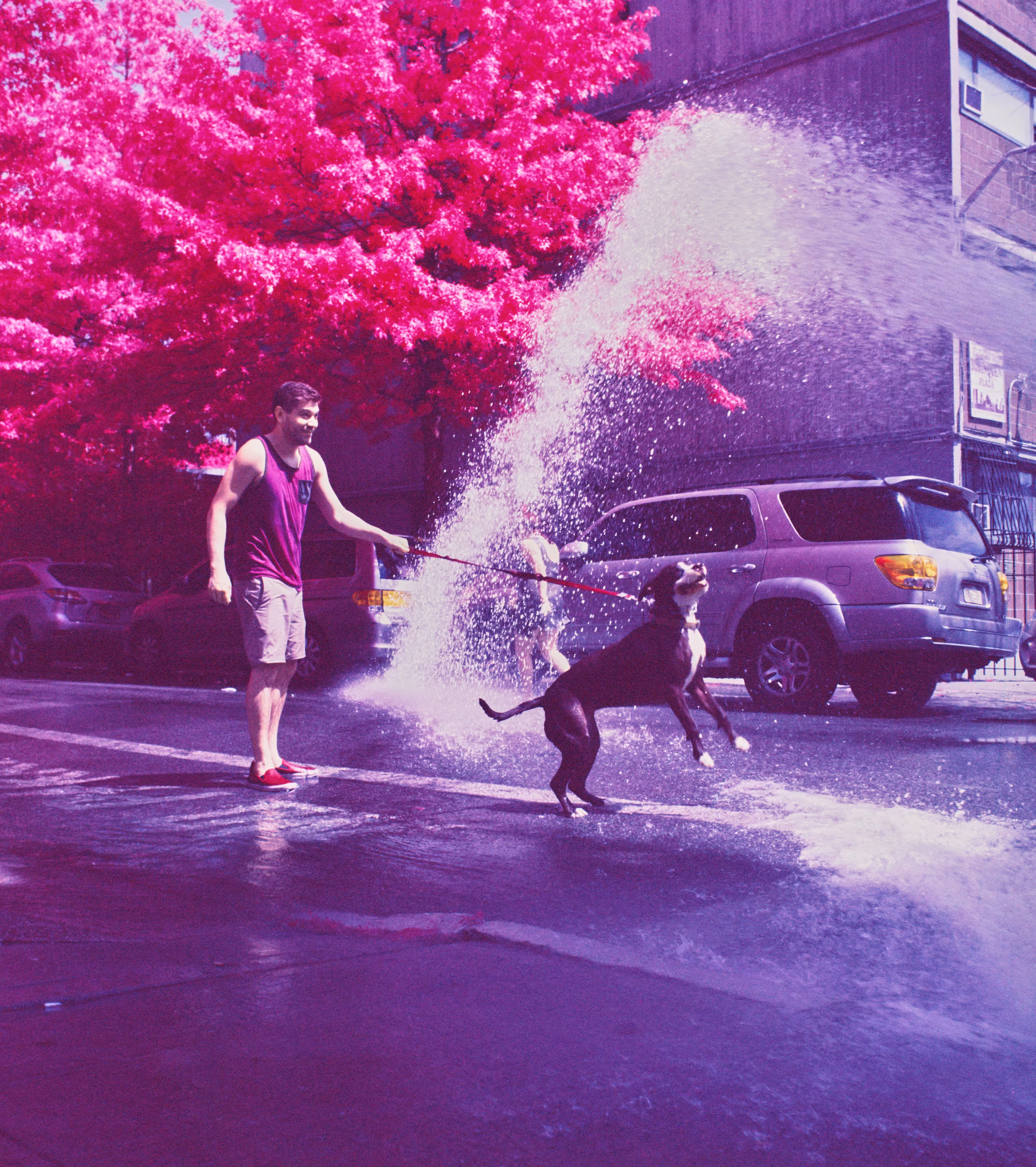 Brooklyn