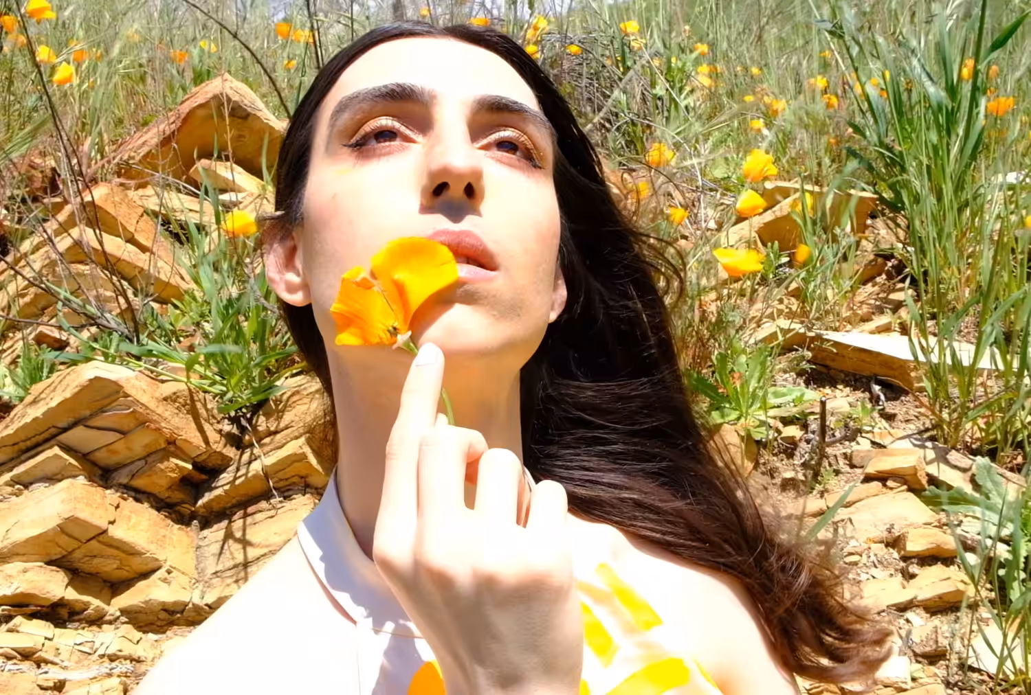 Allure of the Poppy #6