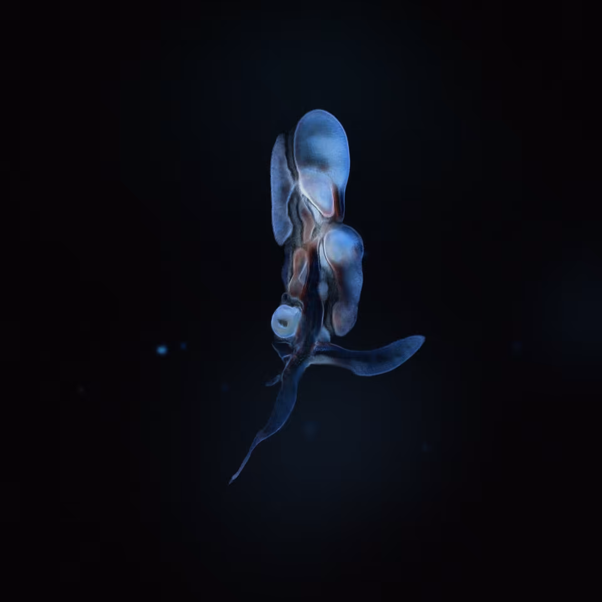 Sperma 12