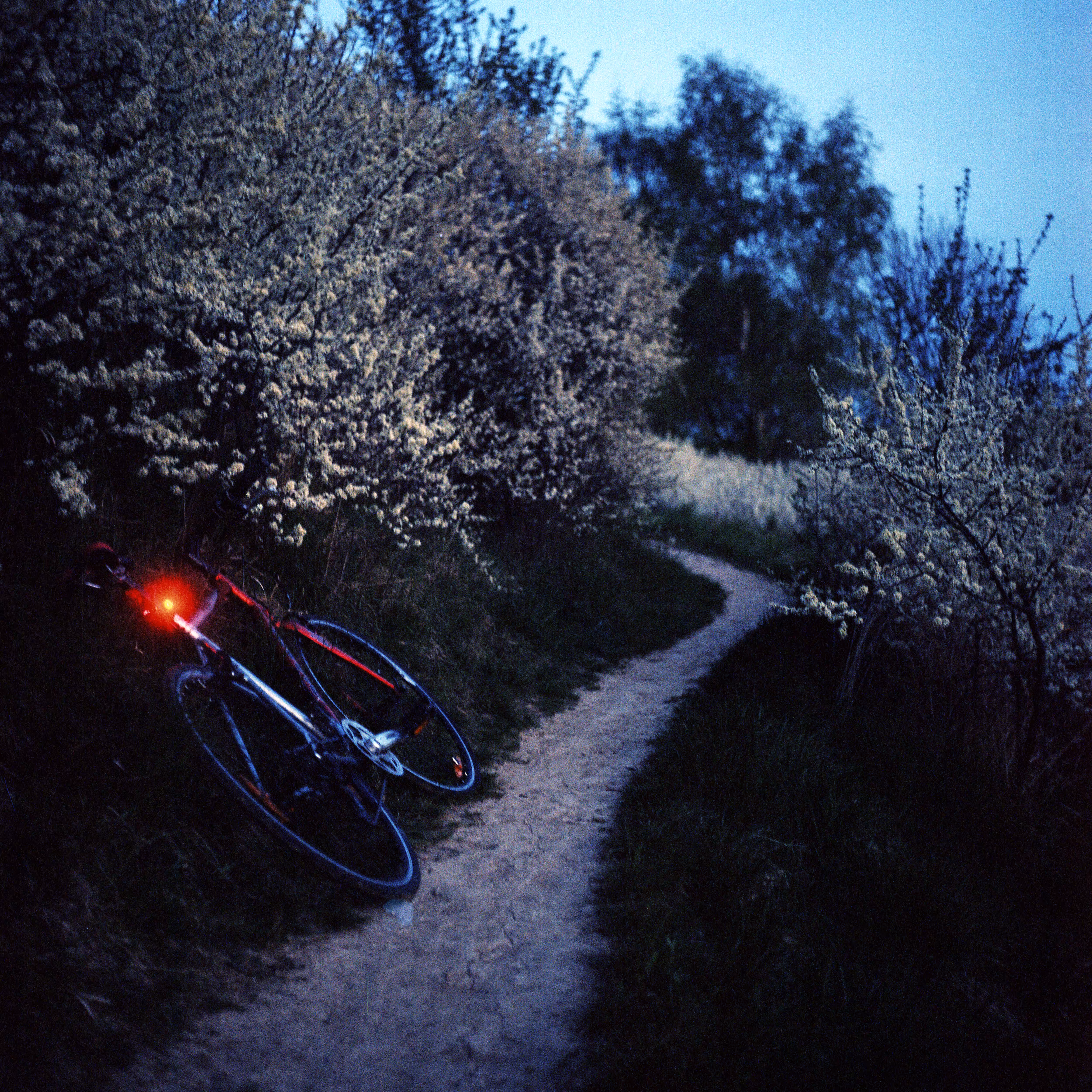 Roads Untraveled #1