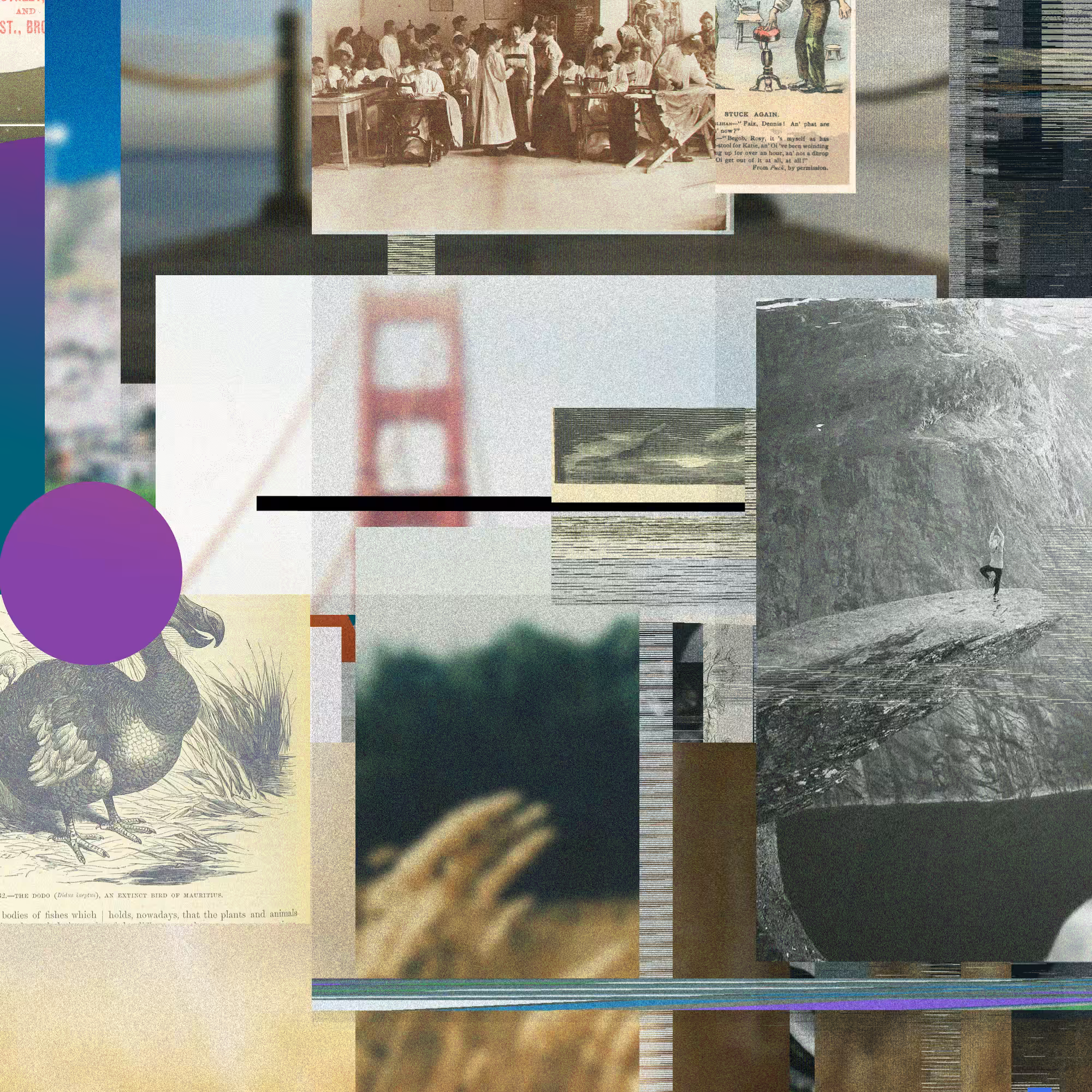 Unconscious Collages #1801