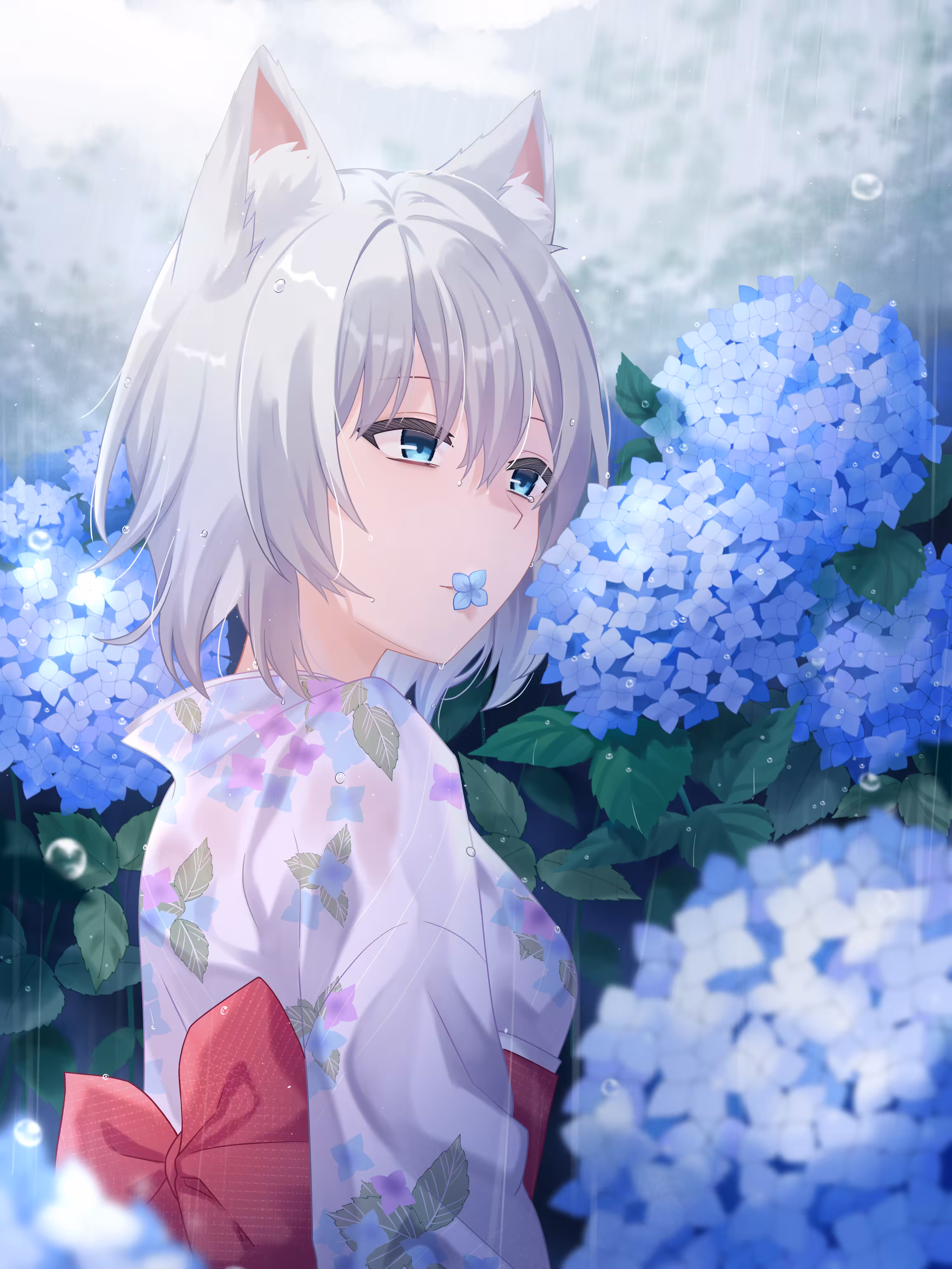 Hydrangea