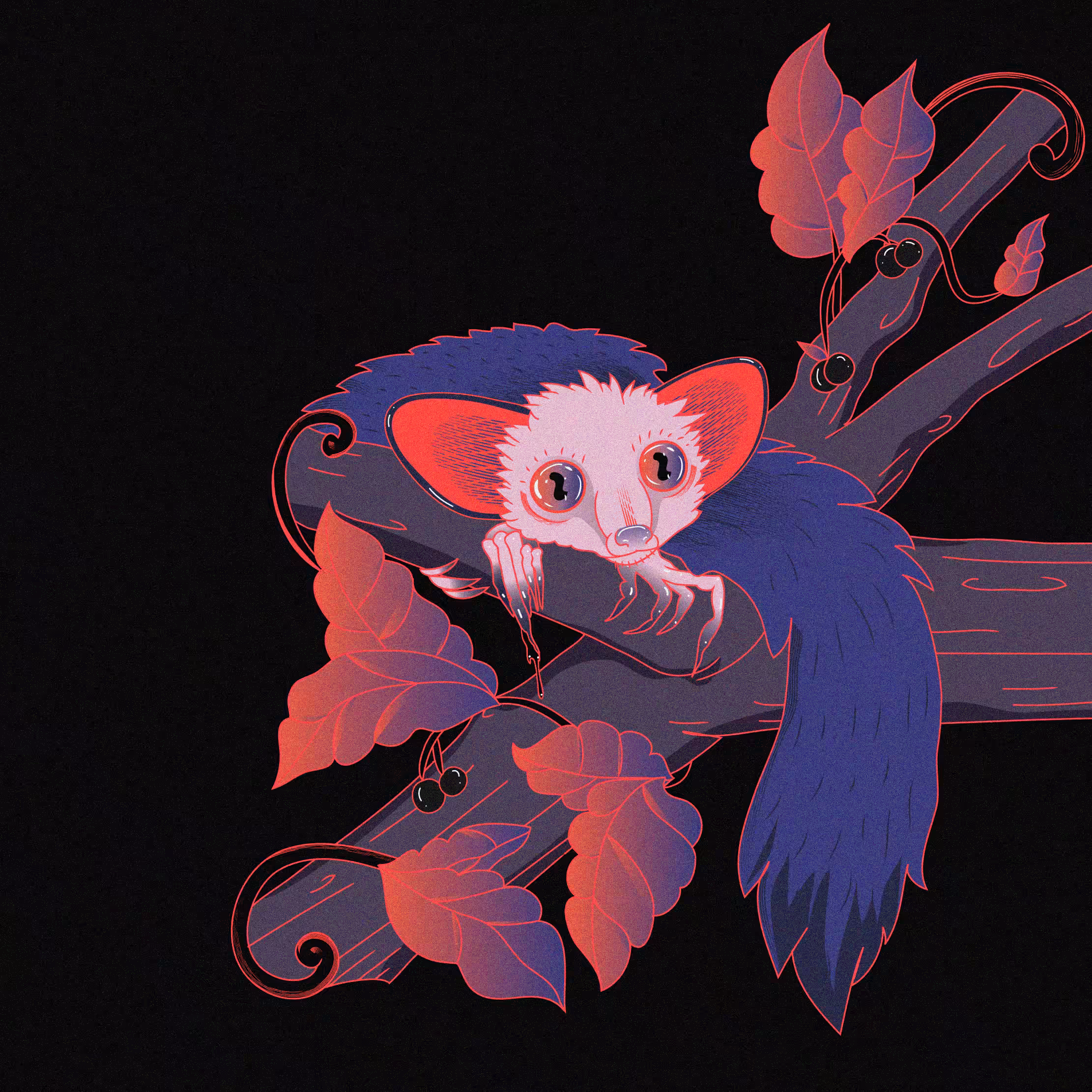 Aye-Aye