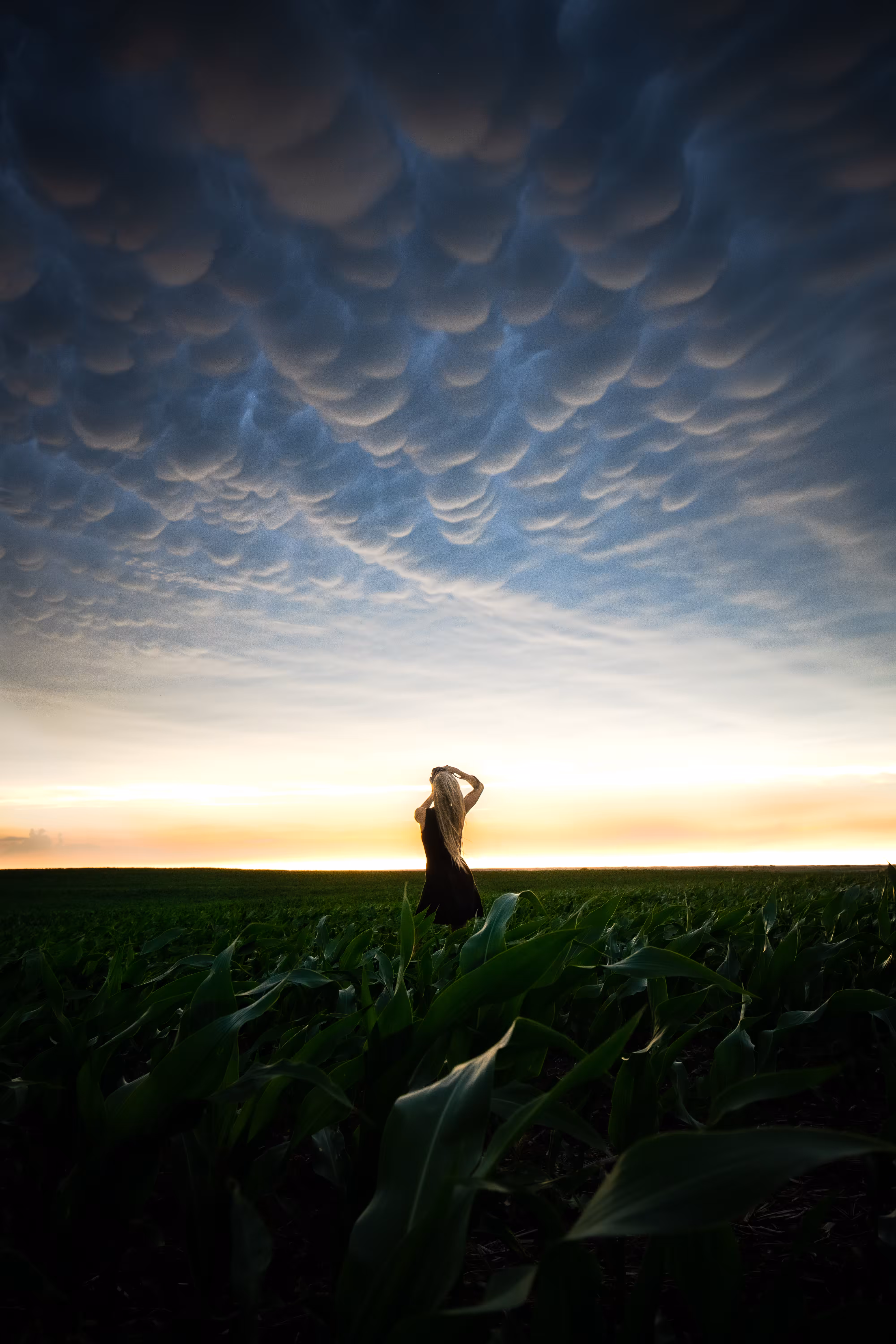 Field of Dreams 