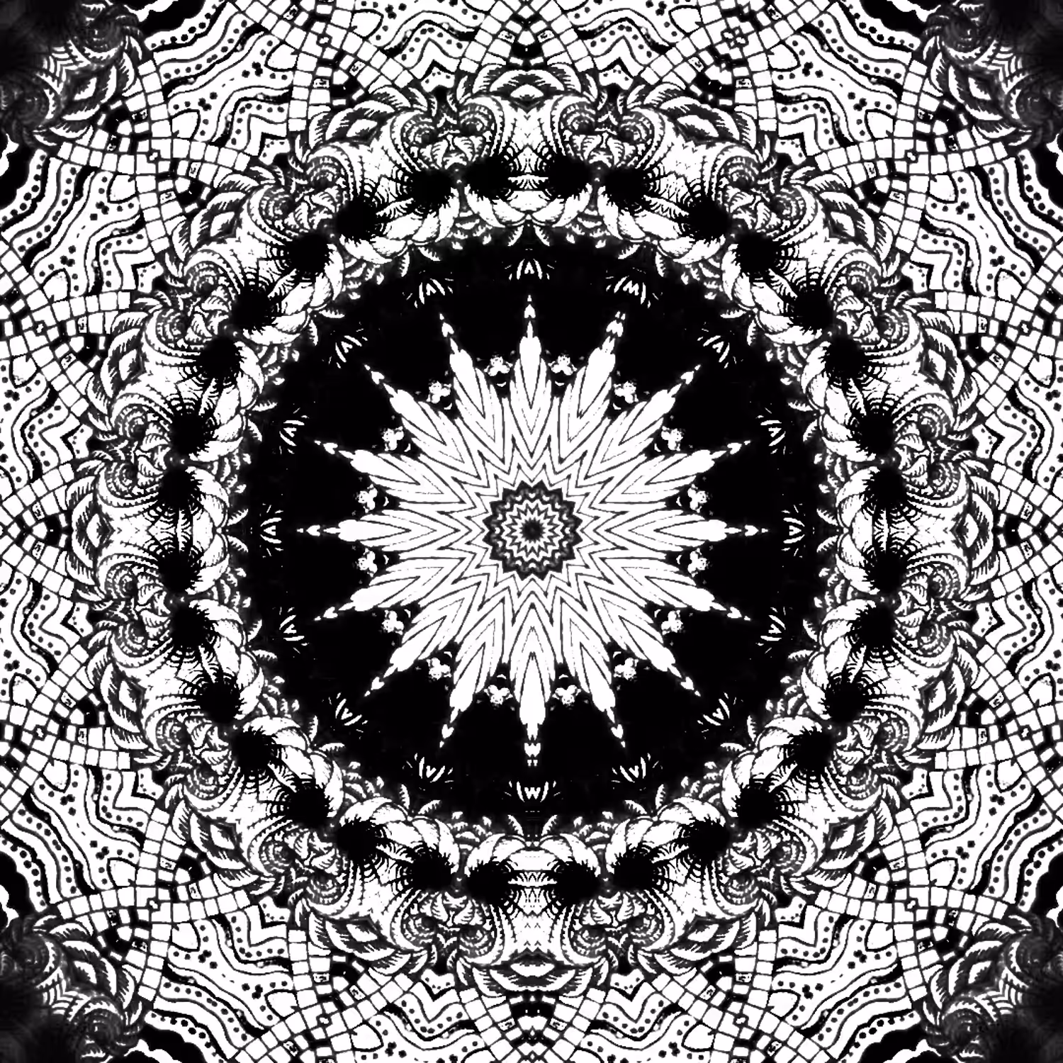 Black & White #006