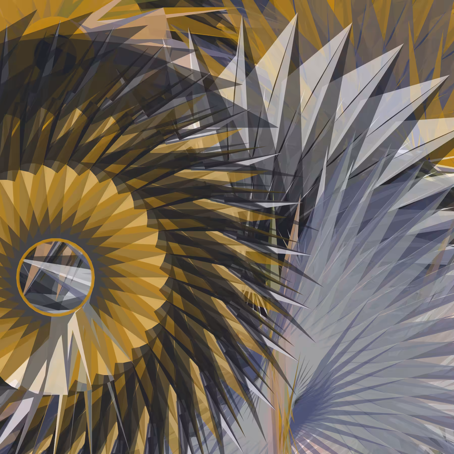 Tillandsia Lens #14