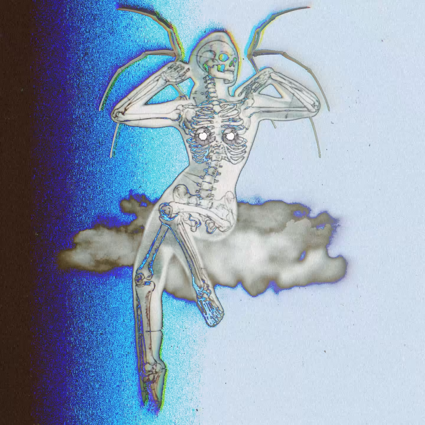 Fly