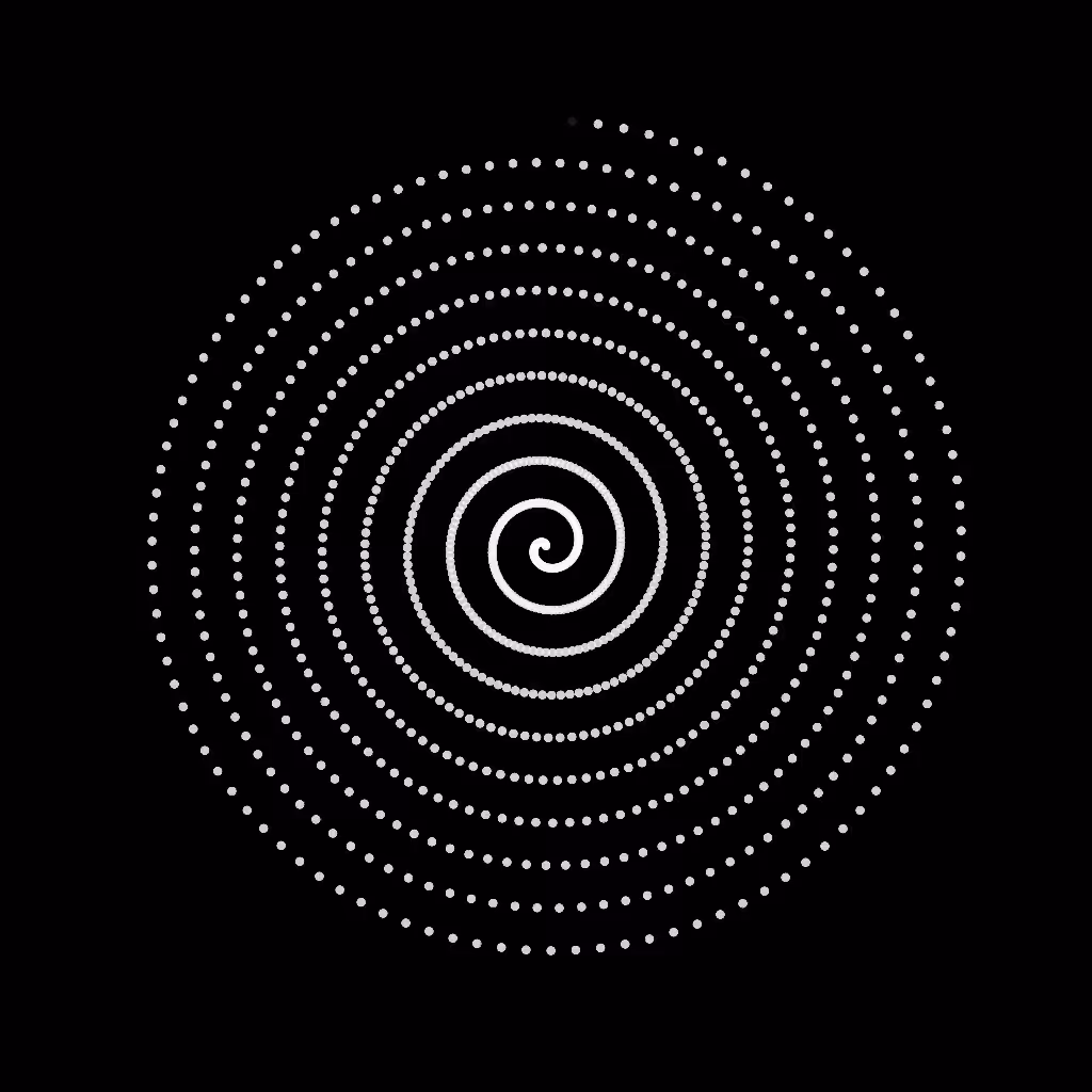 shape shift 2