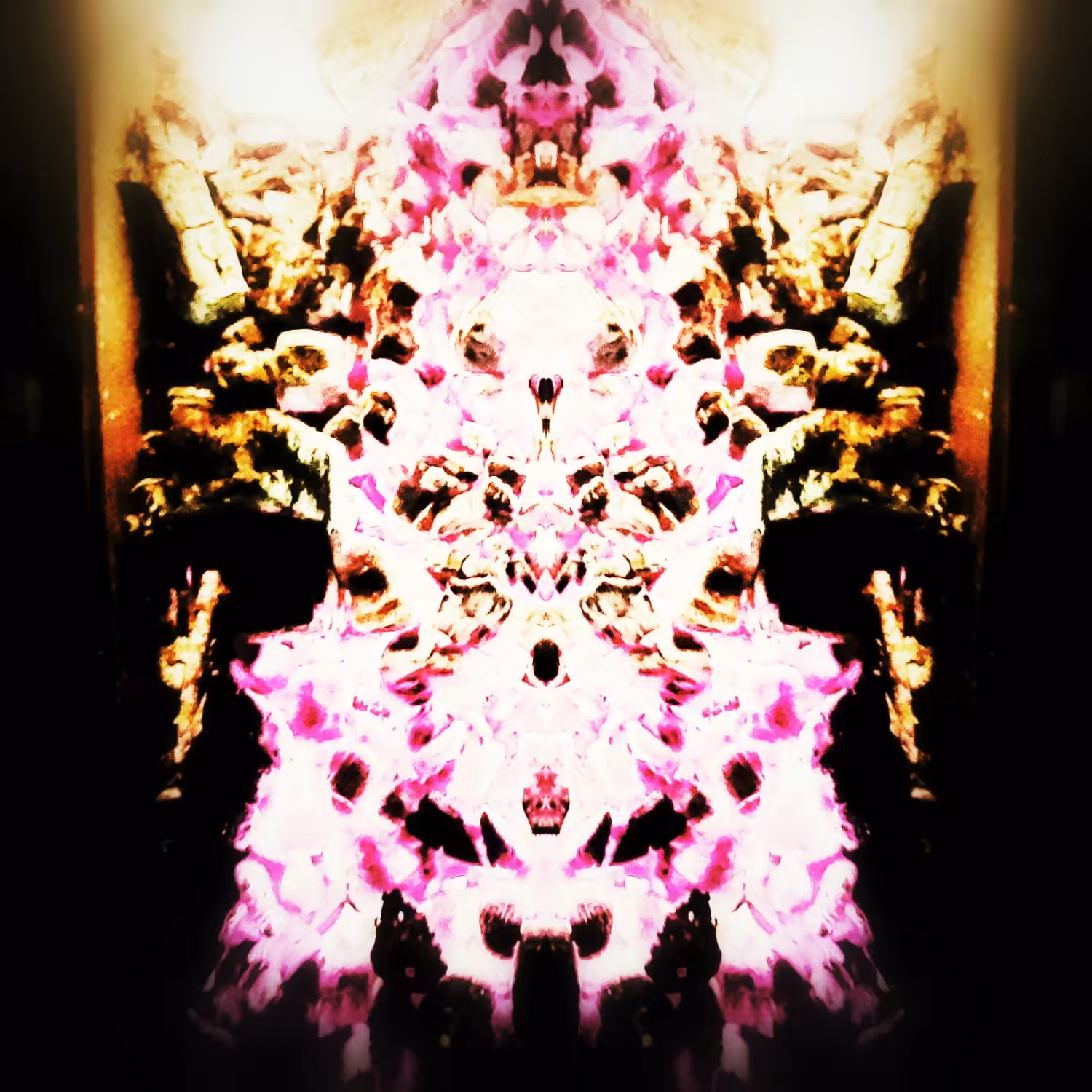 Intrinsic Fire #2
