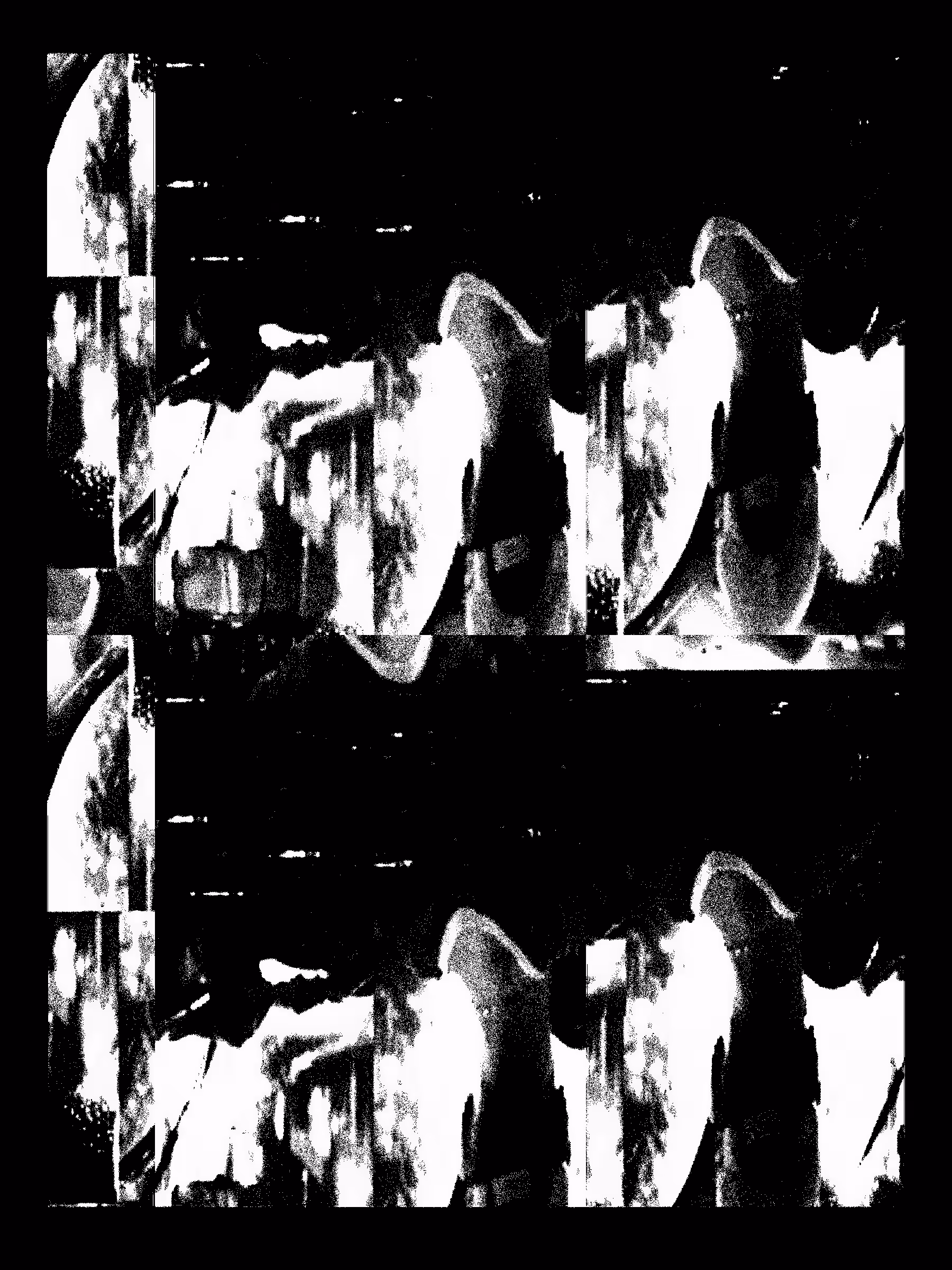 Echo, No Resonance #152