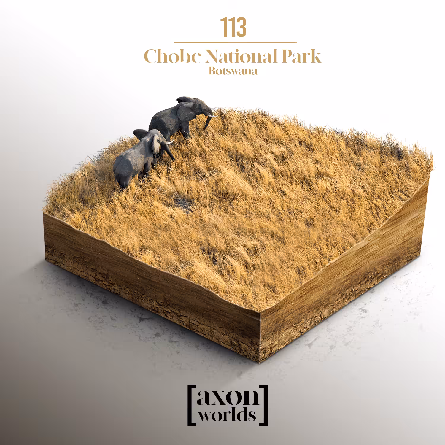 AXON WORLD | 113/1423 | CHOBE NATIONAL PARK | BOTSWANA | MICRO WORLD