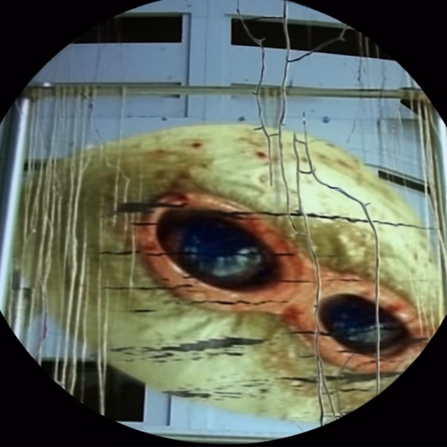 deli1994: bomb
