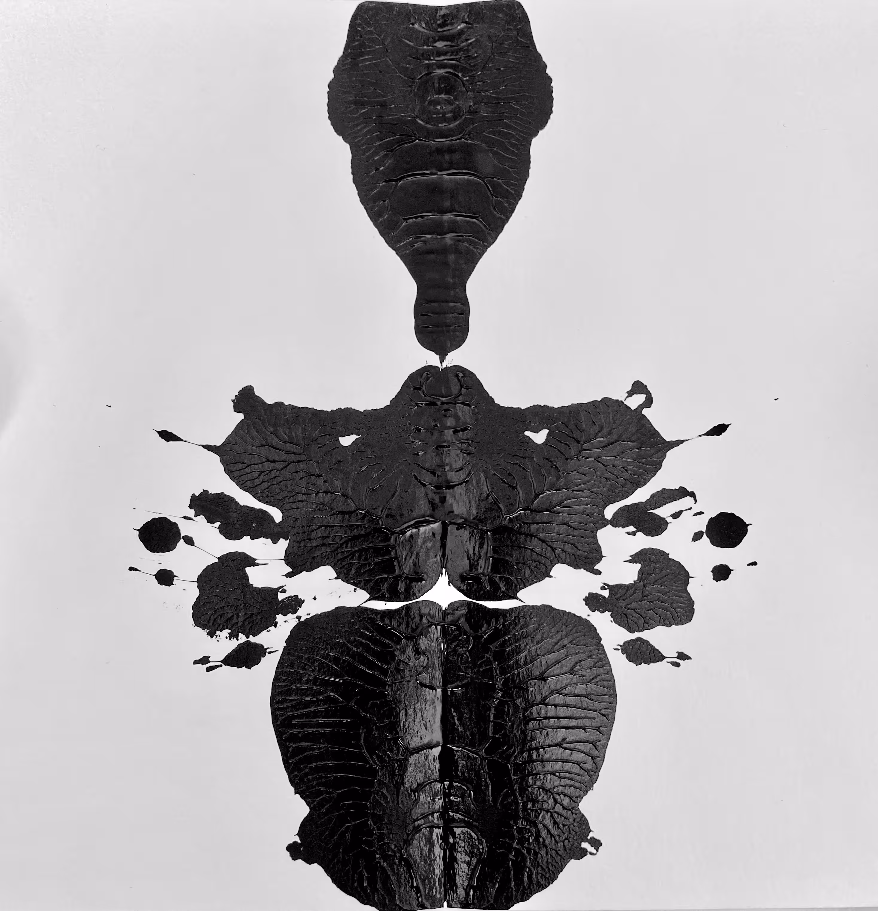 beatle / vase 