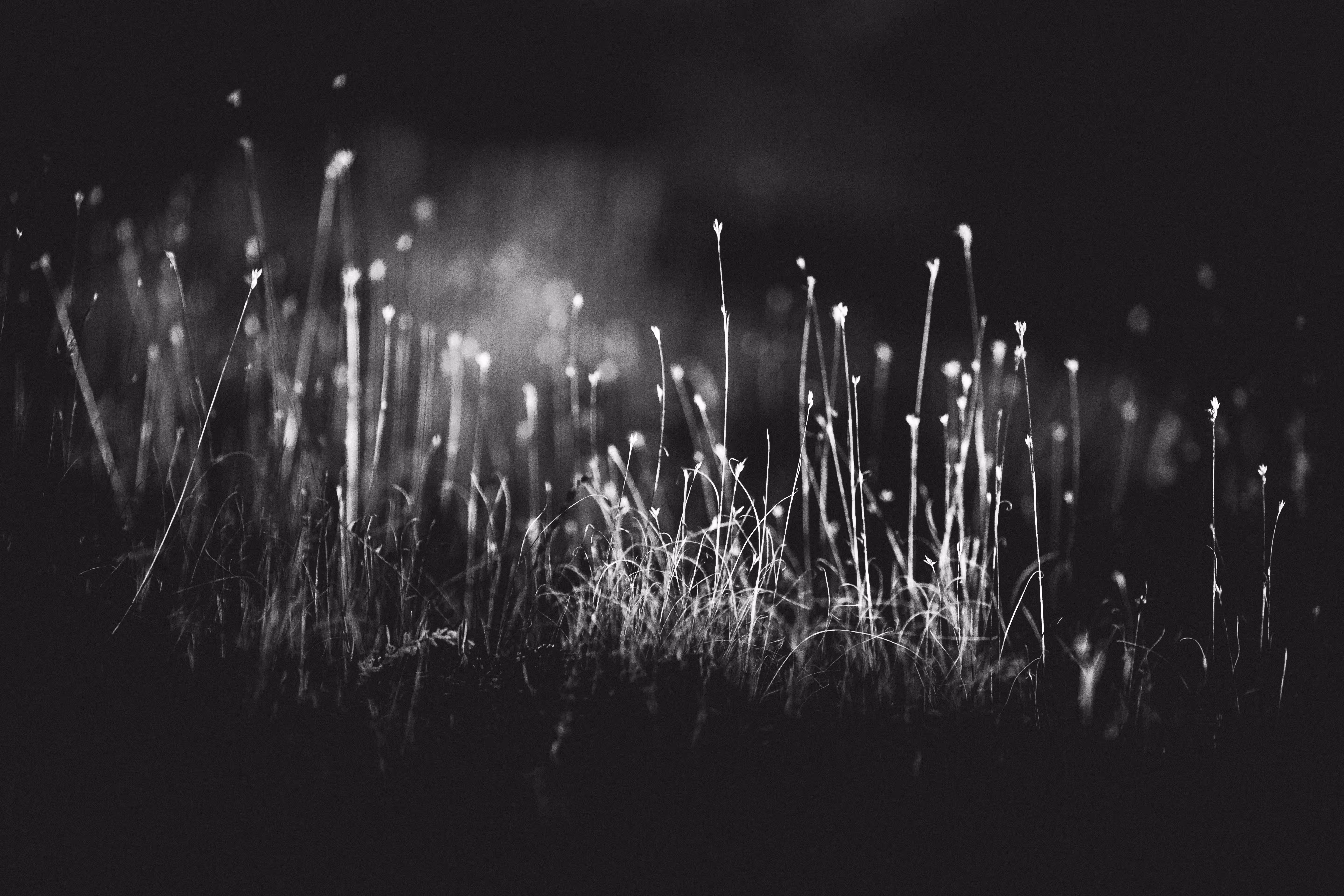 World in Black'n'White 1