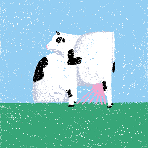 cows: cow #221