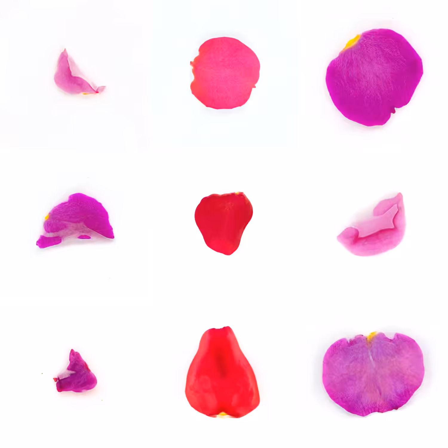 Infinite Petals 3x3#3740